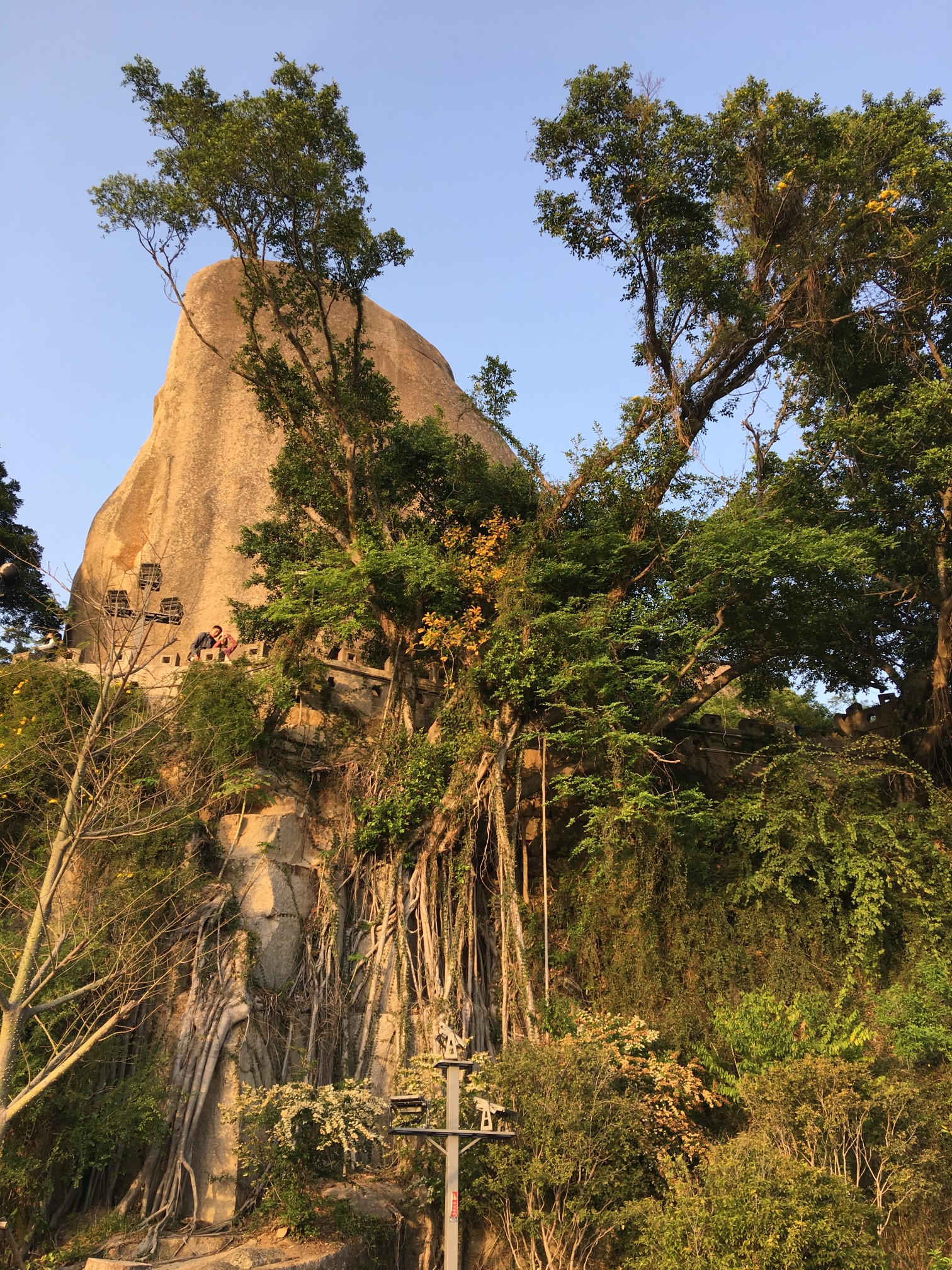 厦门旅游攻略：探索海上花园的无尽魅力