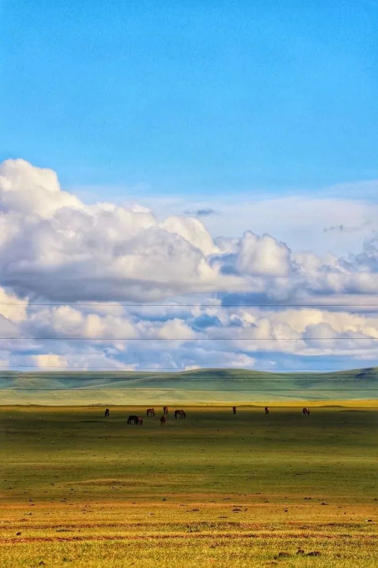 呼伦贝尔大草原—呼伦贝尔大草原呼伦贝尔大草原