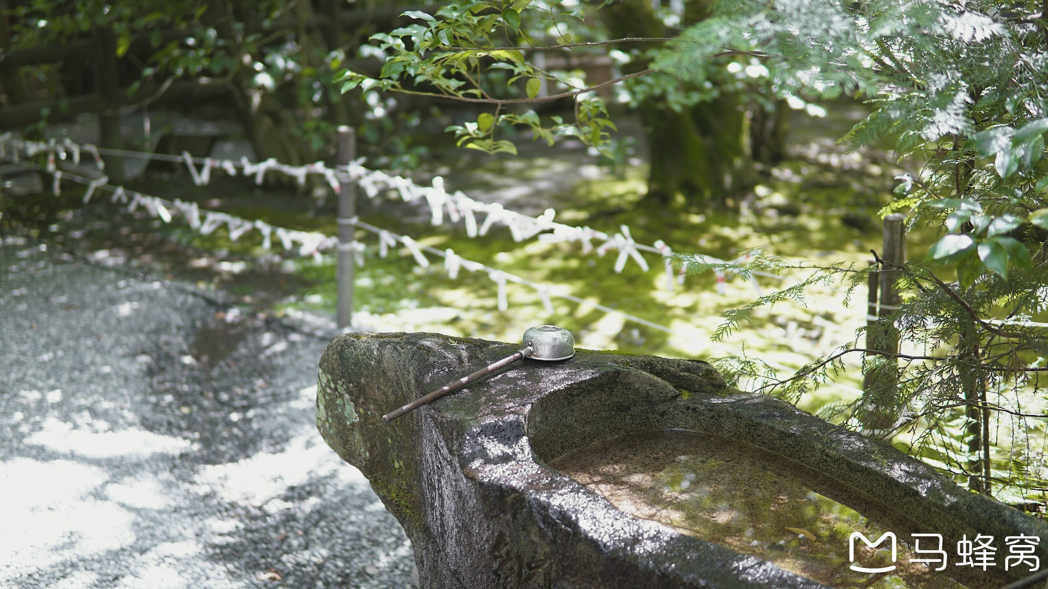 京都自助遊攻略