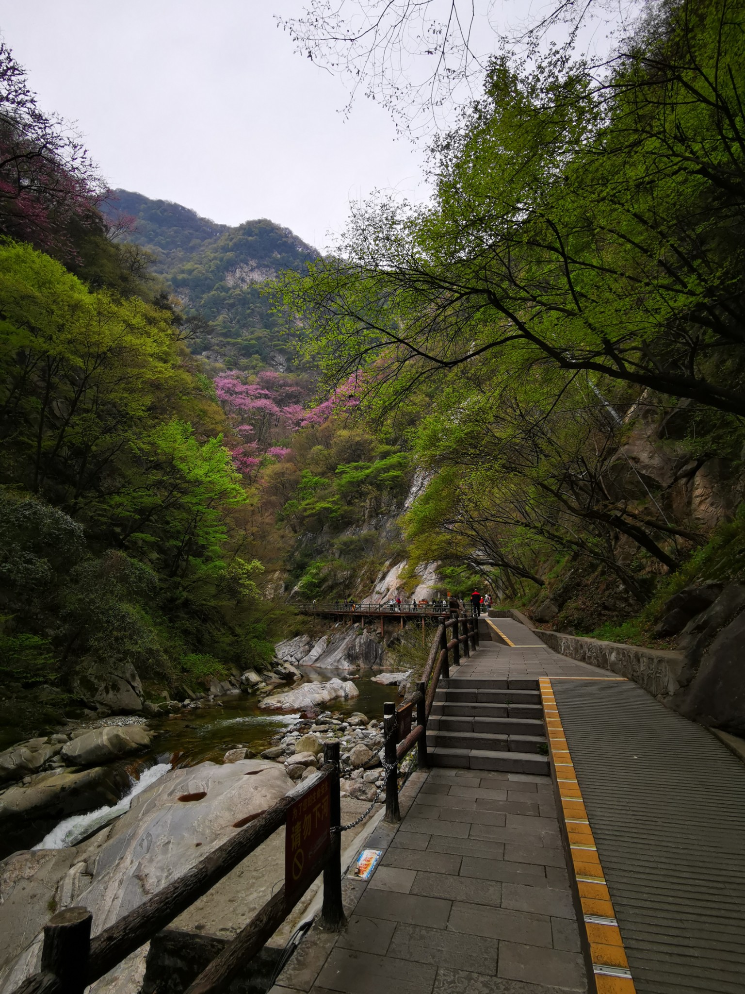 秦岭探幽丨太平峪森林公园
