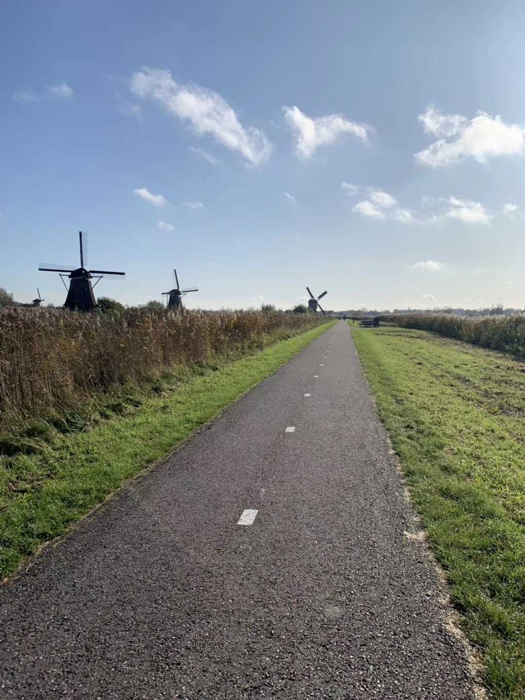 鹿特丹自助遊攻略