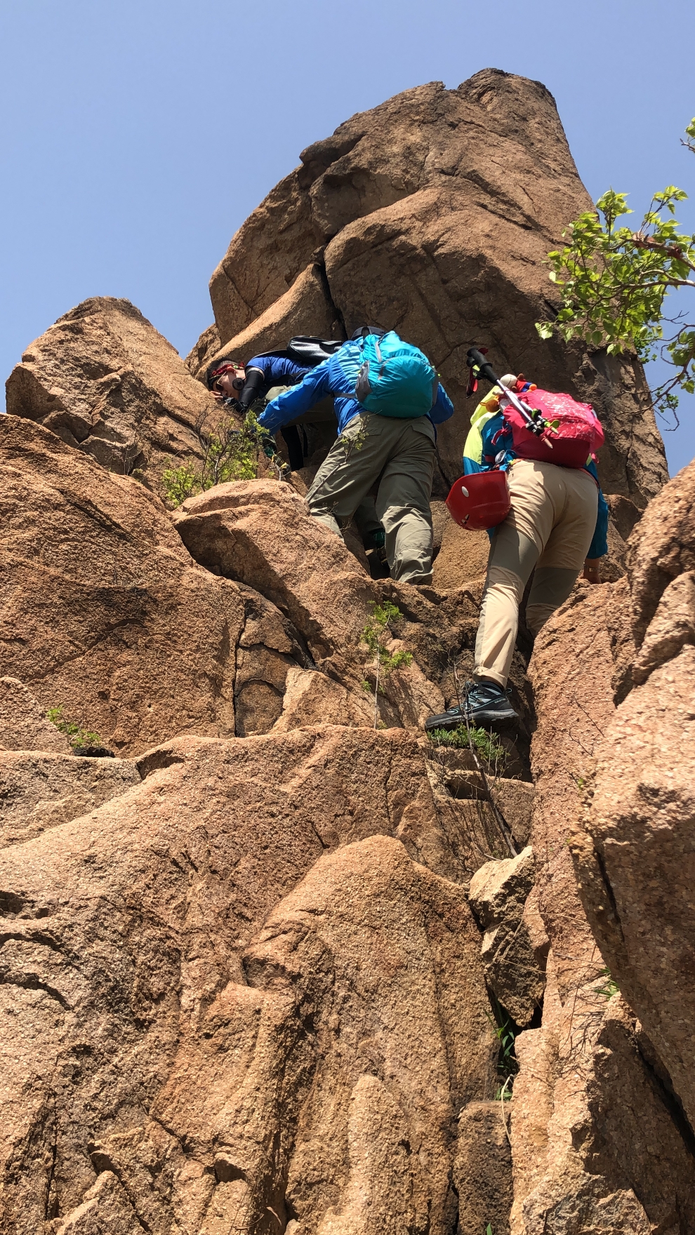 狗头石,昌黎碣石山景区外一难寻的奇石,昌黎旅游攻略 - 马蜂窝