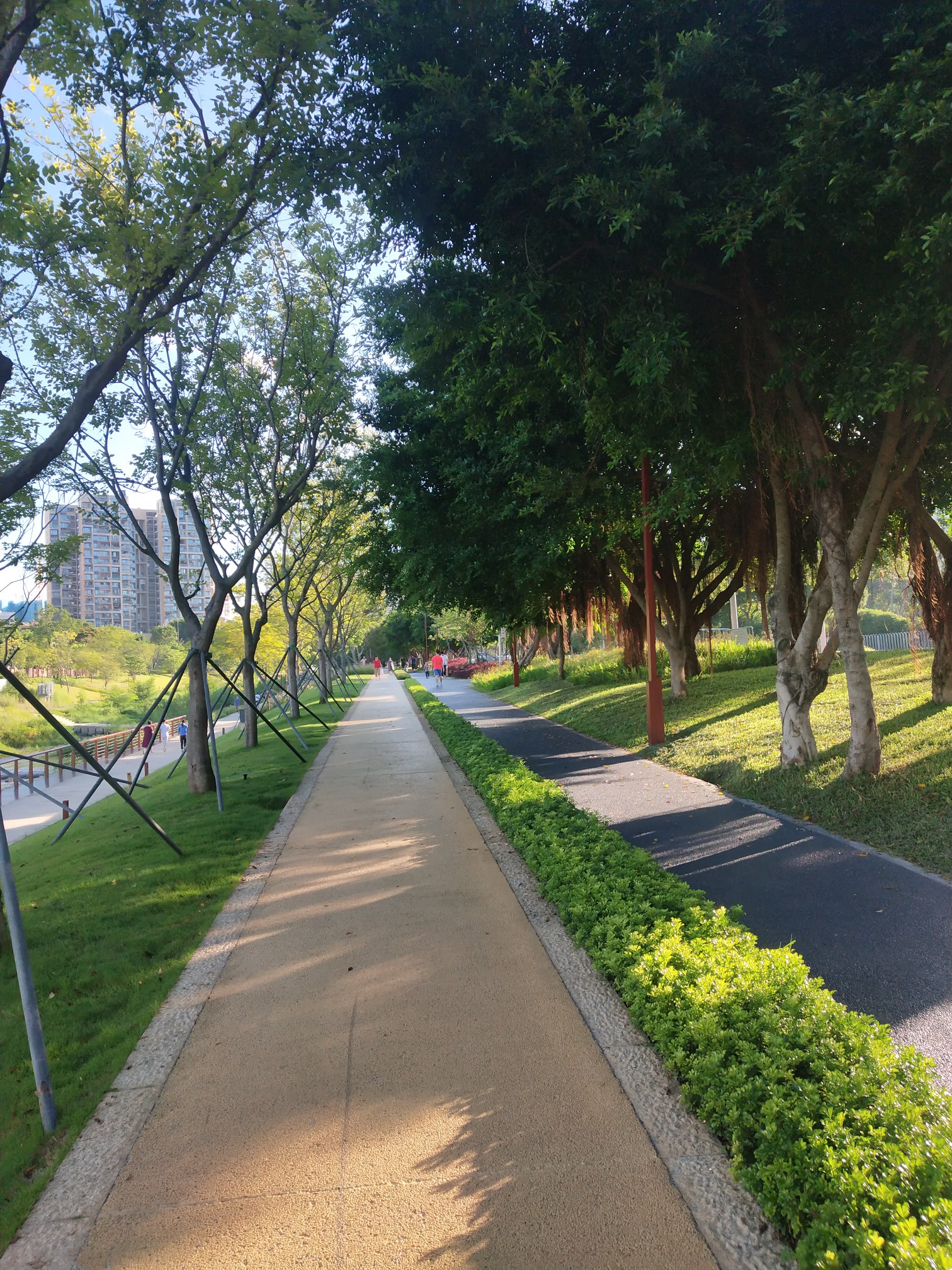 人在深圳——九祥岭湿地公园,旅游攻略 - 马蜂窝