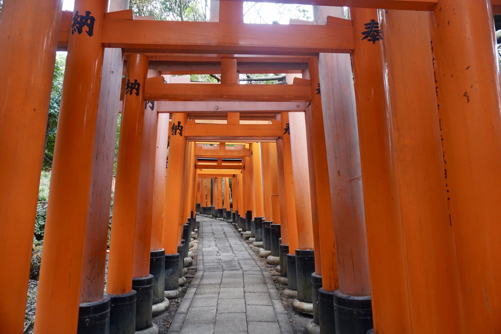 京都自助遊攻略