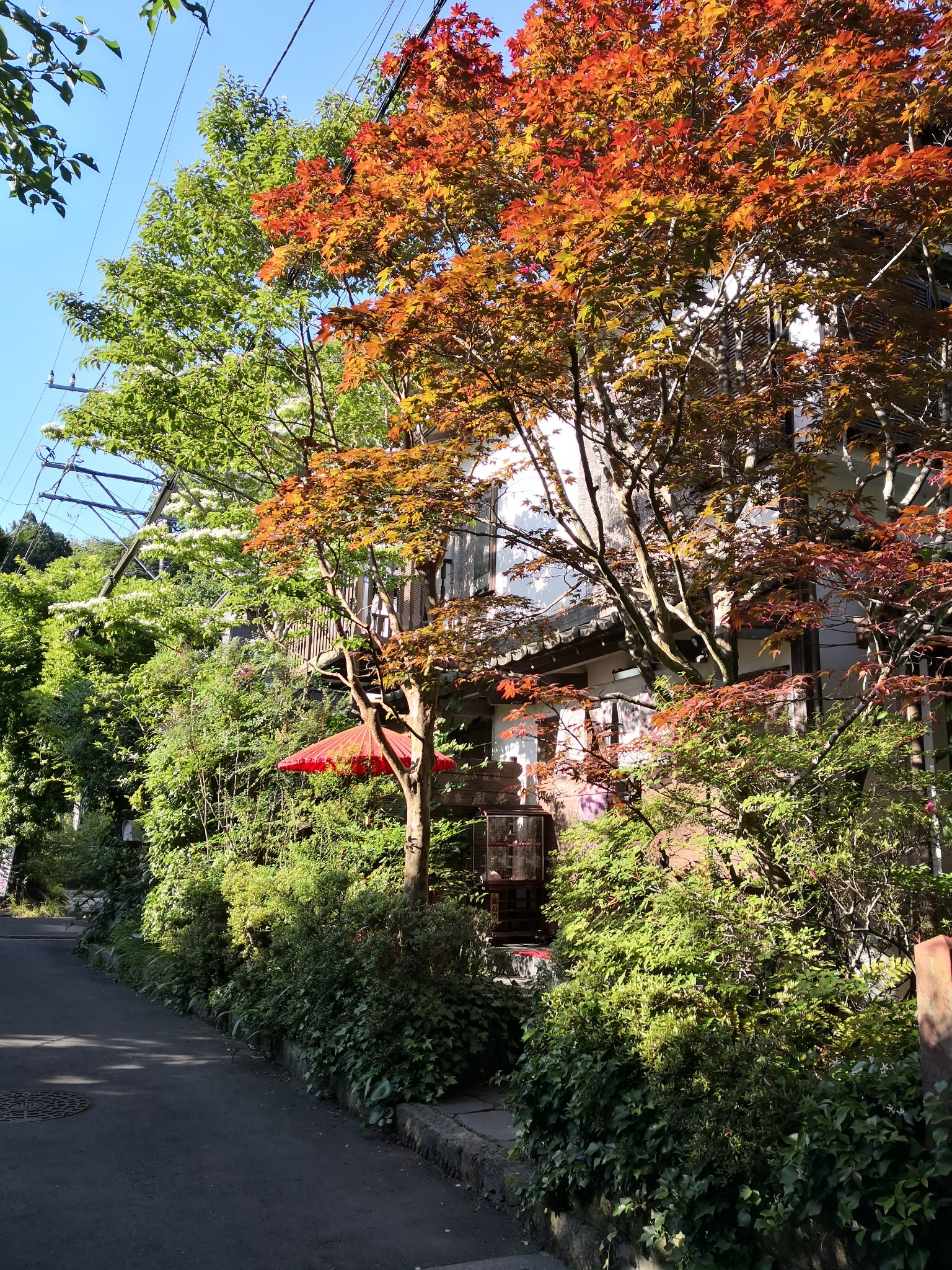 東京自助遊攻略