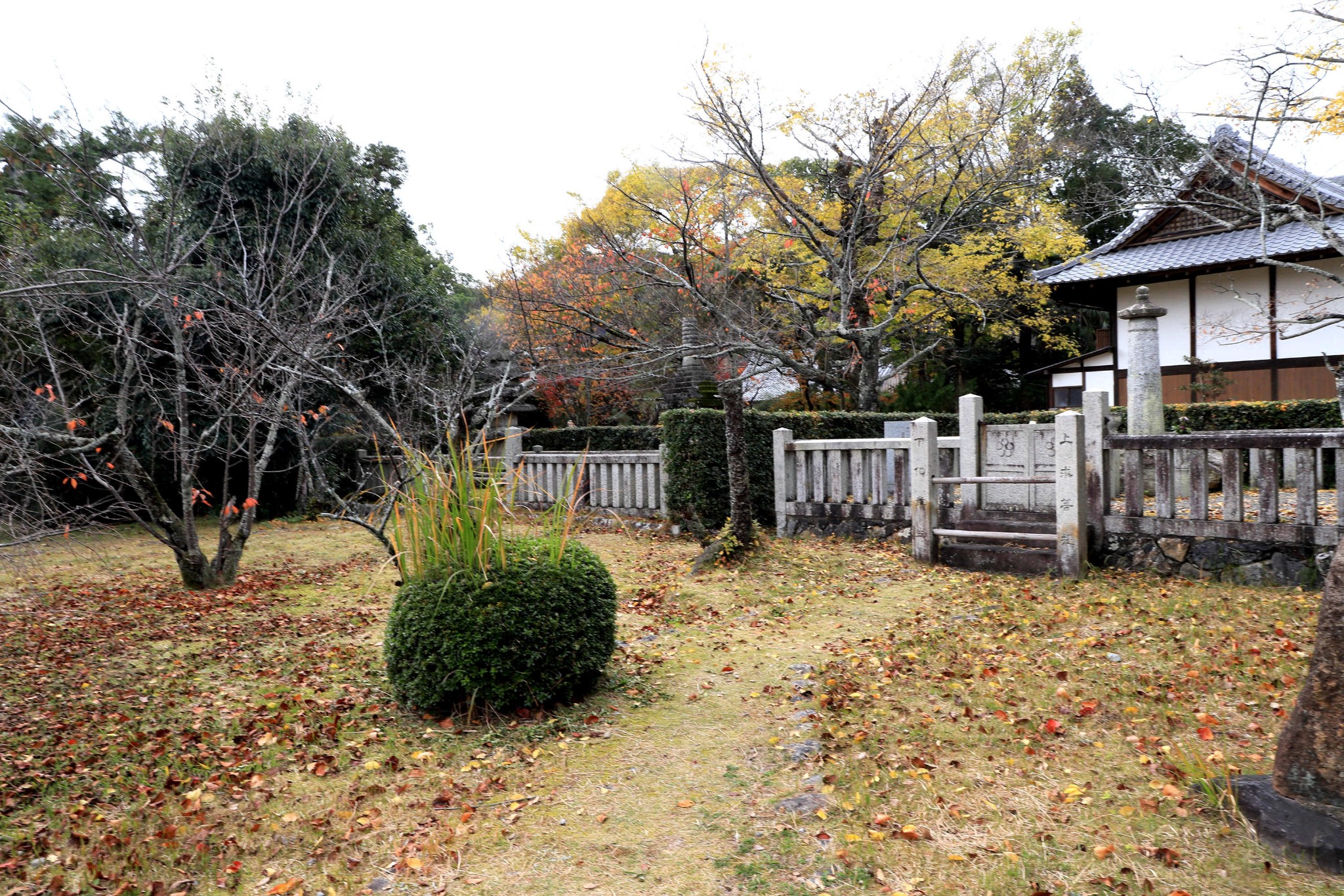 京都自助遊攻略