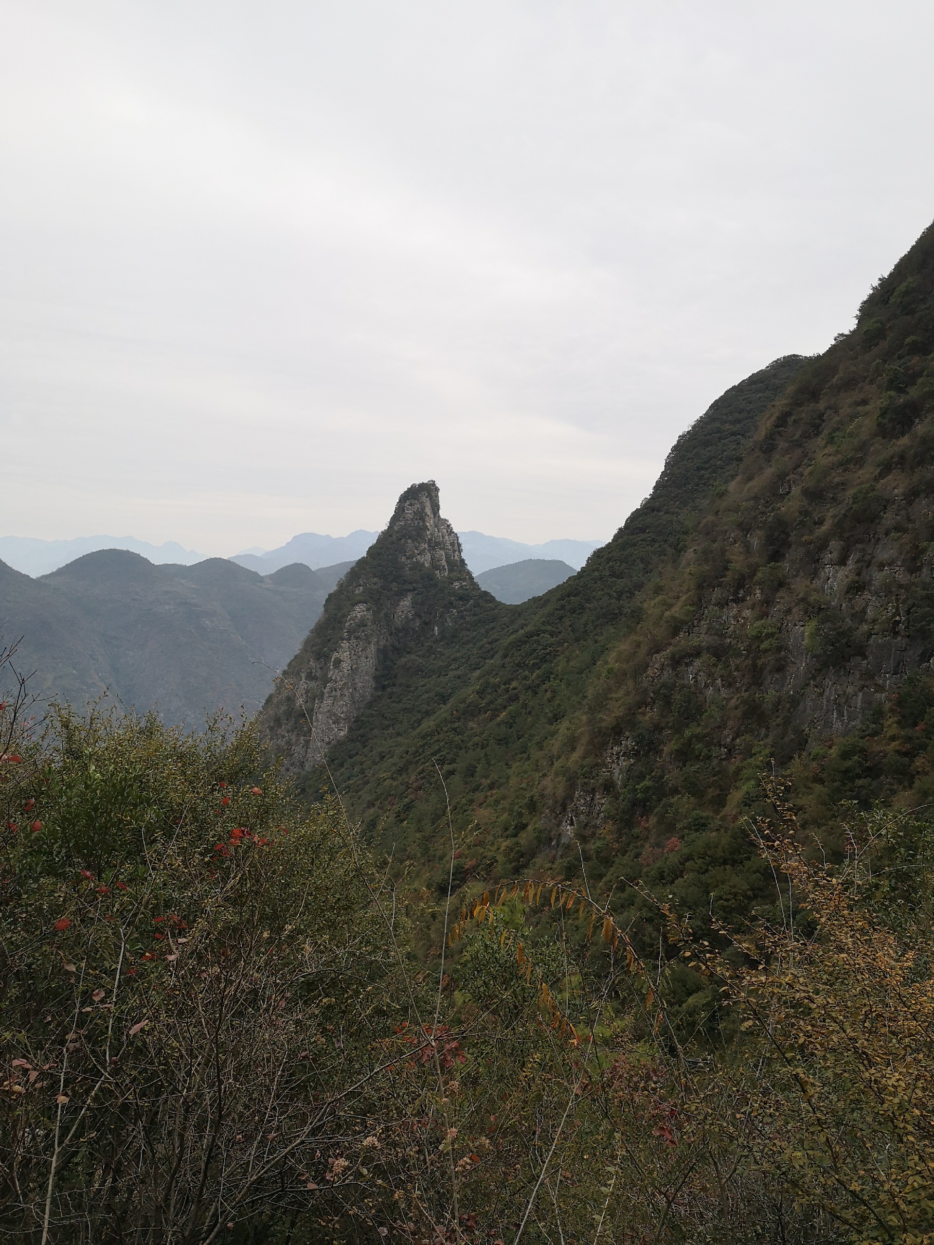 飞凤峰