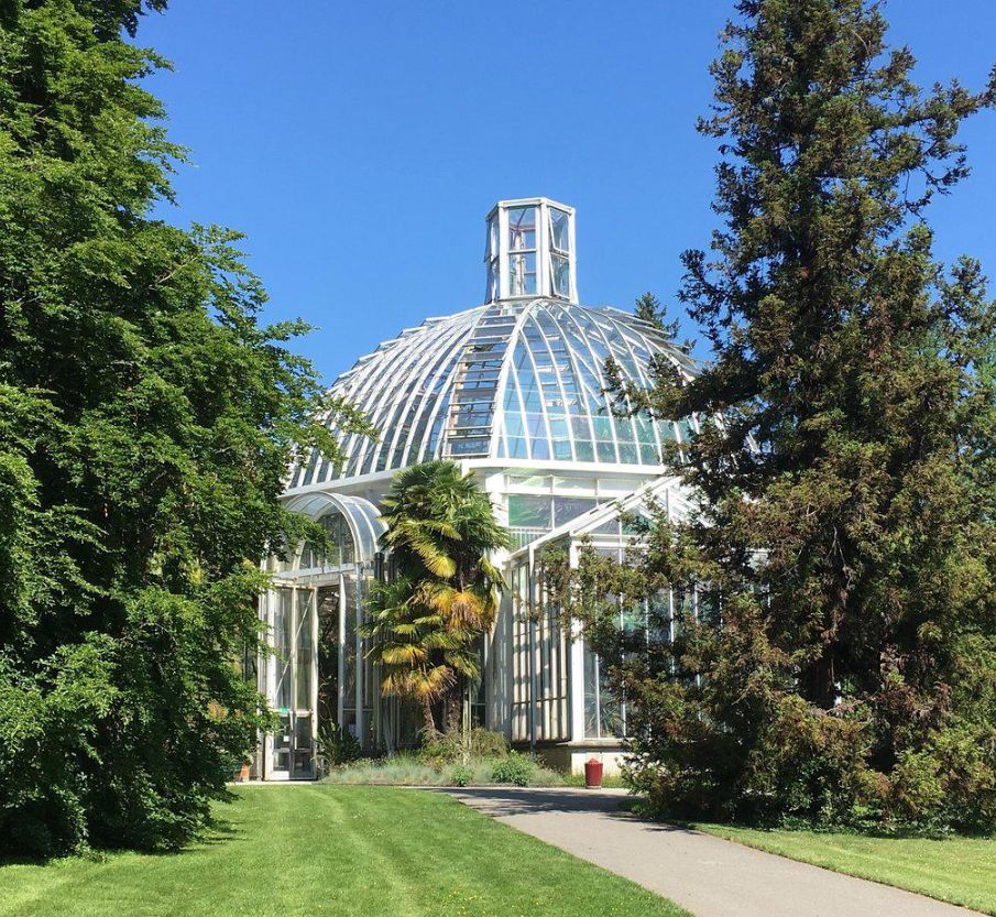 日内瓦植物园 | 迷失在国际之都的花花世界