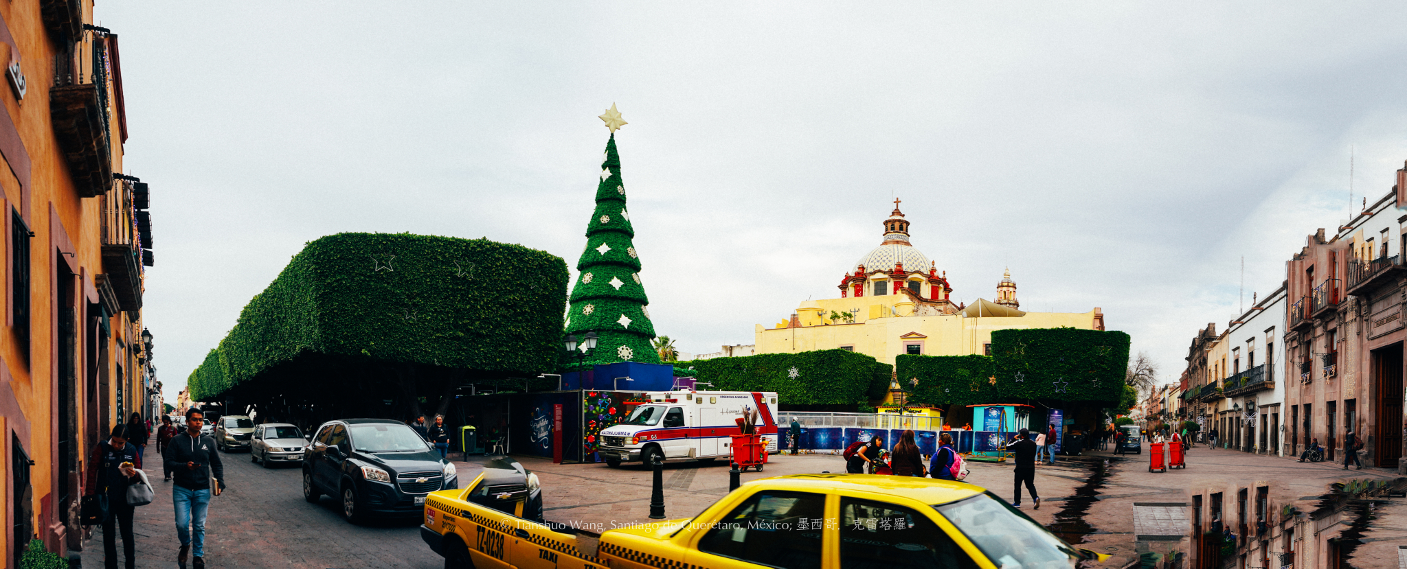 Jardin Guerrero