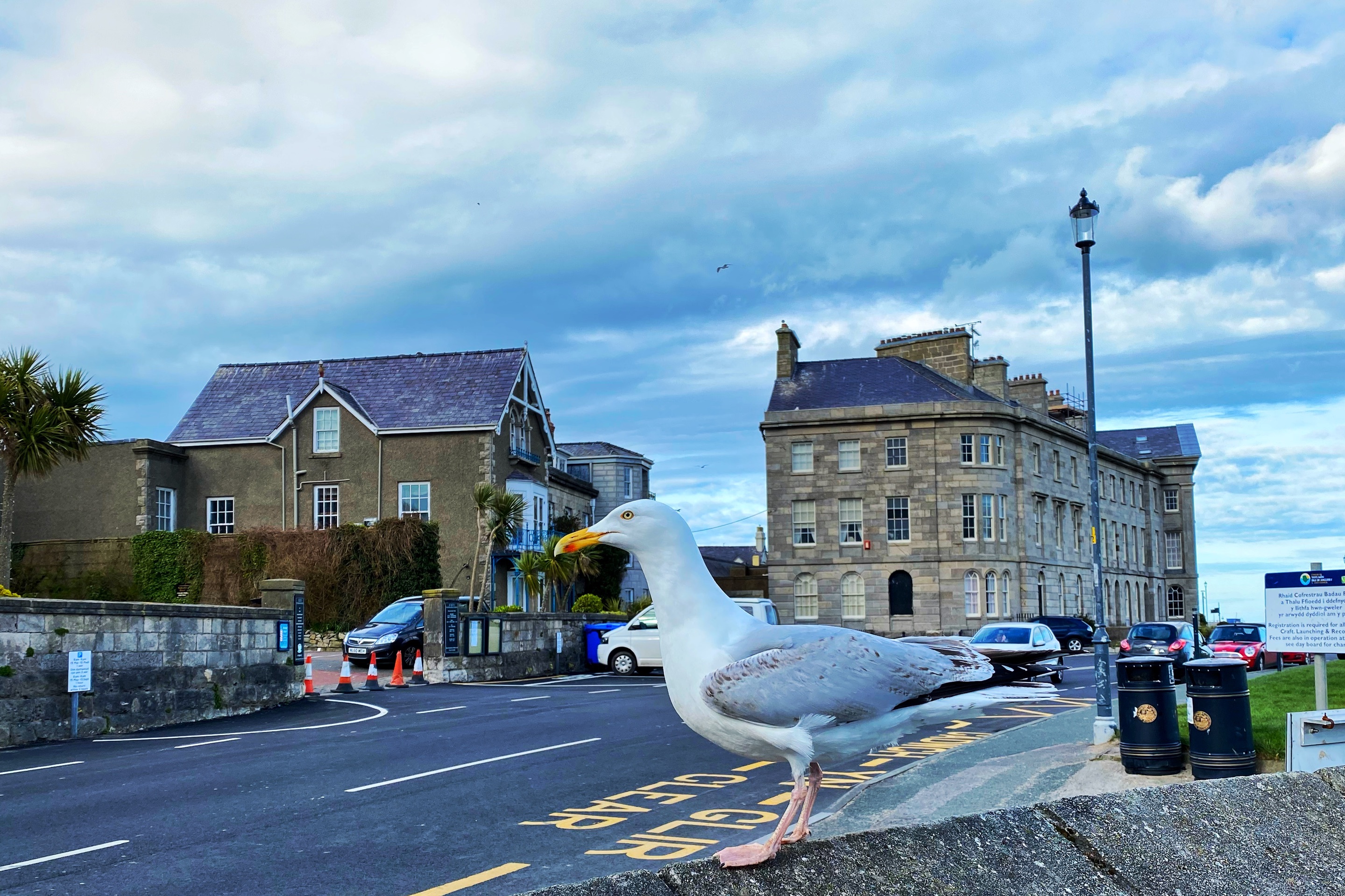 Beaumaris Courthouse