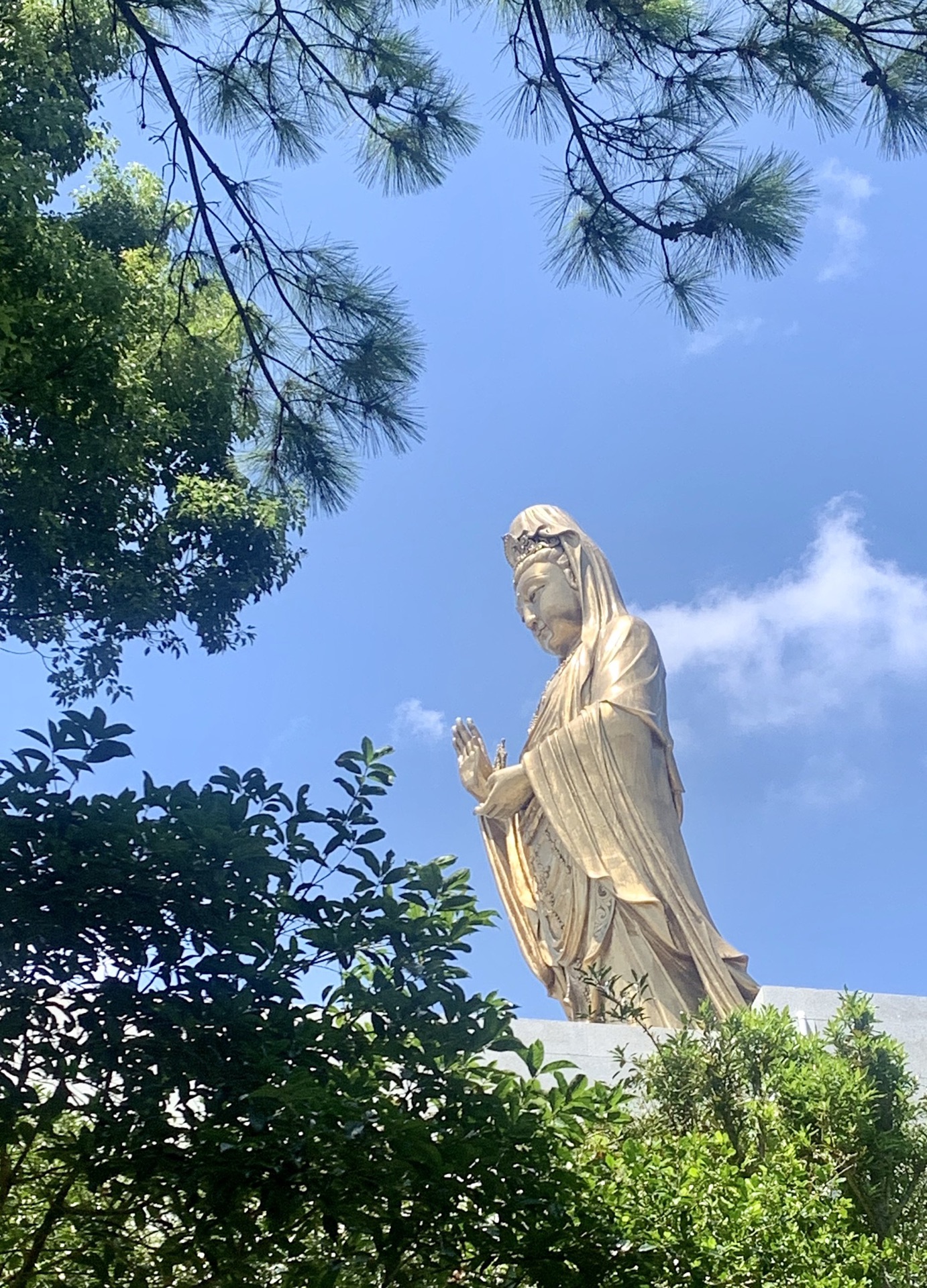 西方淨苑紫竹林不肯去觀音院普濟寺法雨寺西天景區梵音洞慧濟寺普陀的