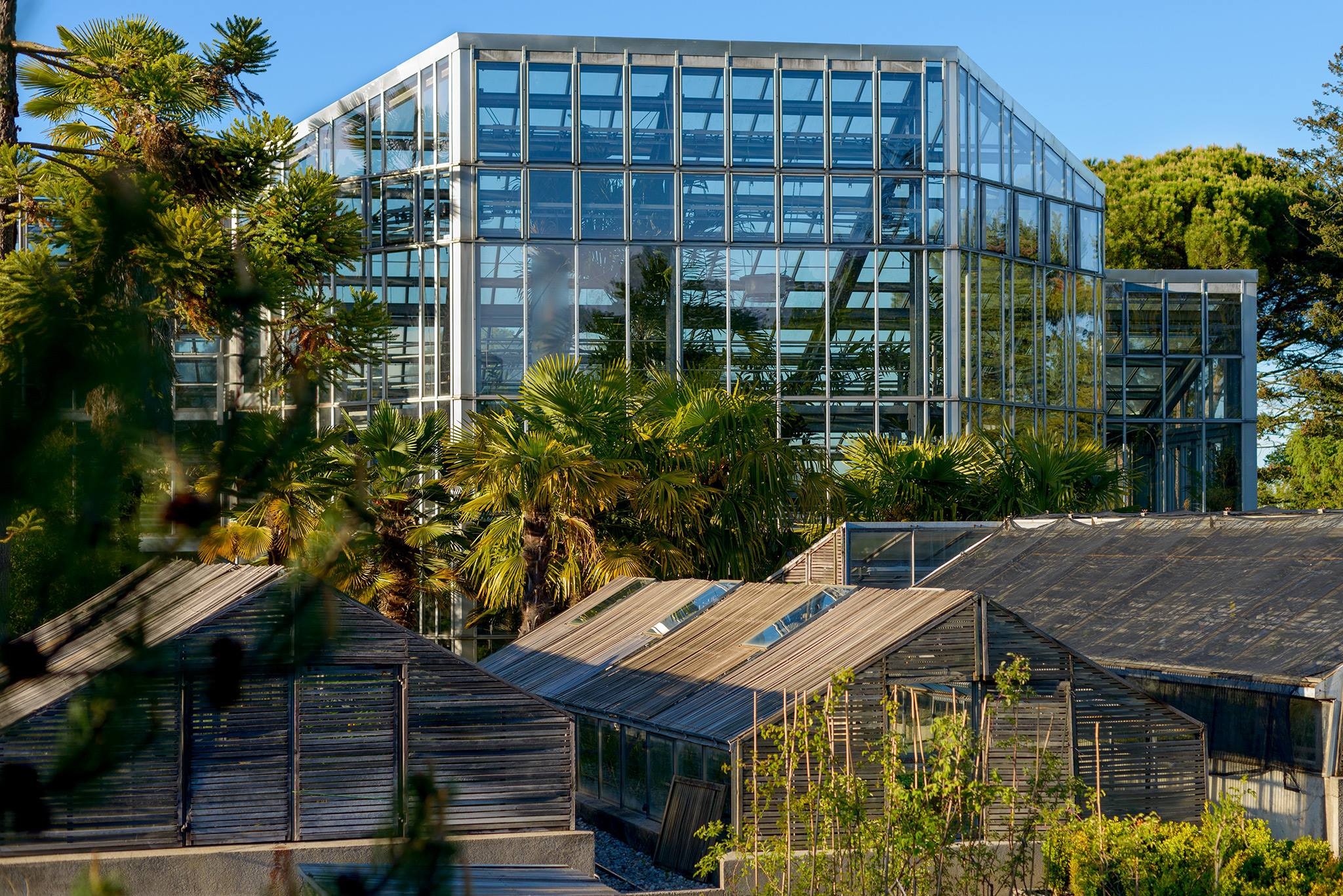 日内瓦植物园 | 迷失在国际之都的花花世界