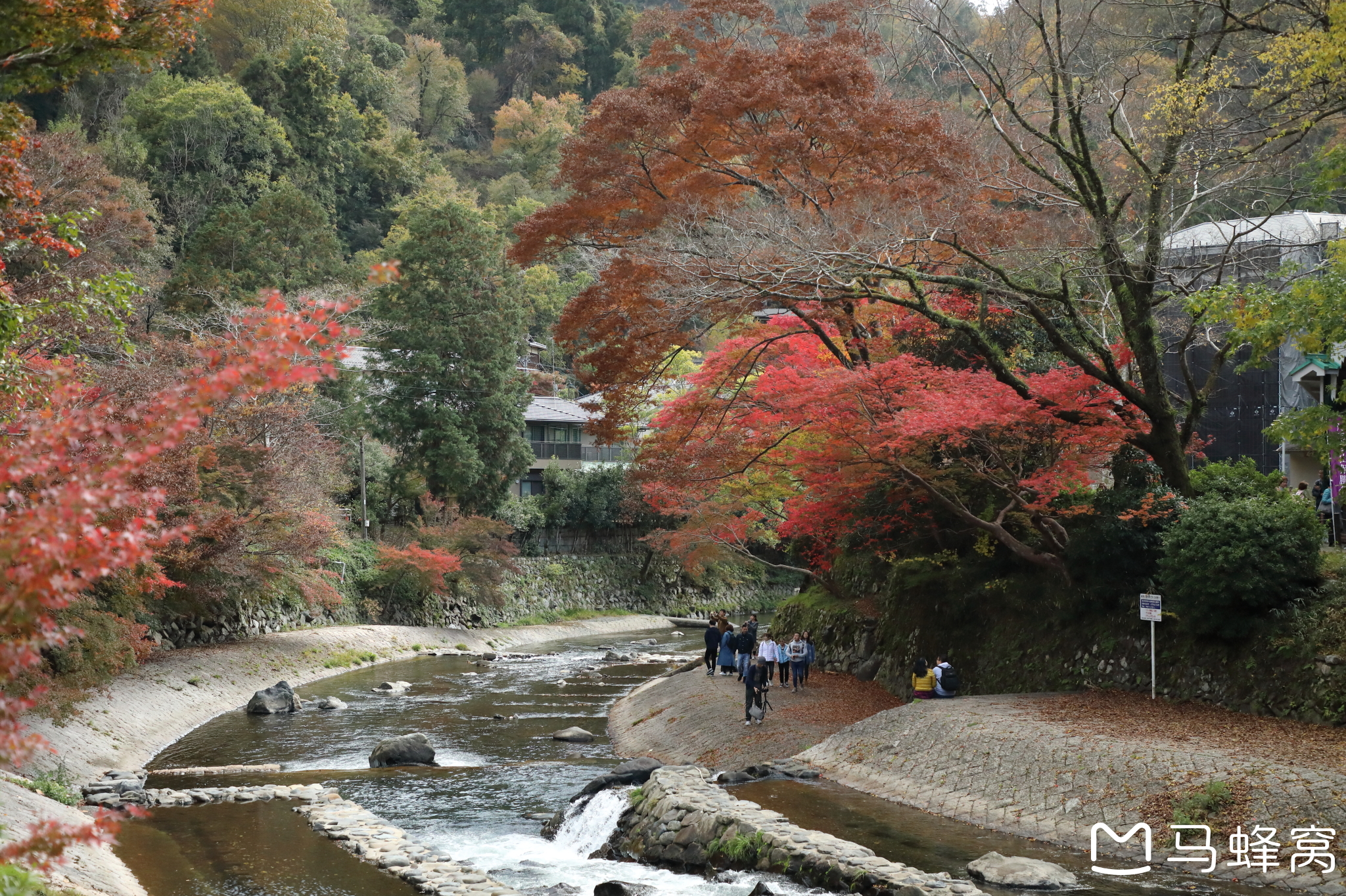 京都自助遊攻略