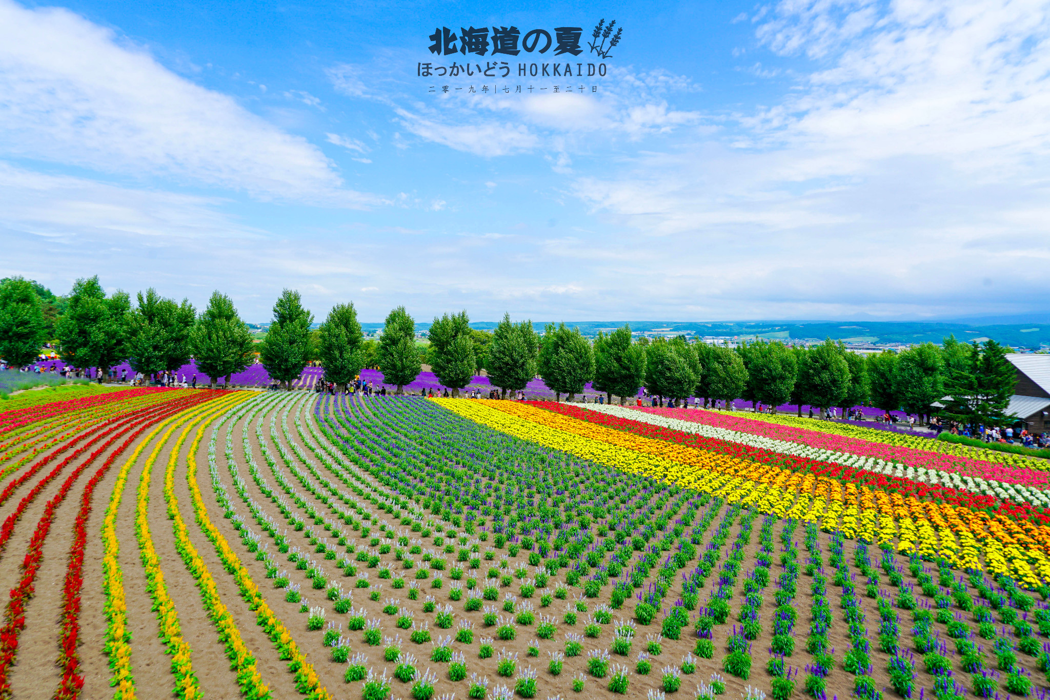 北海道自助遊攻略