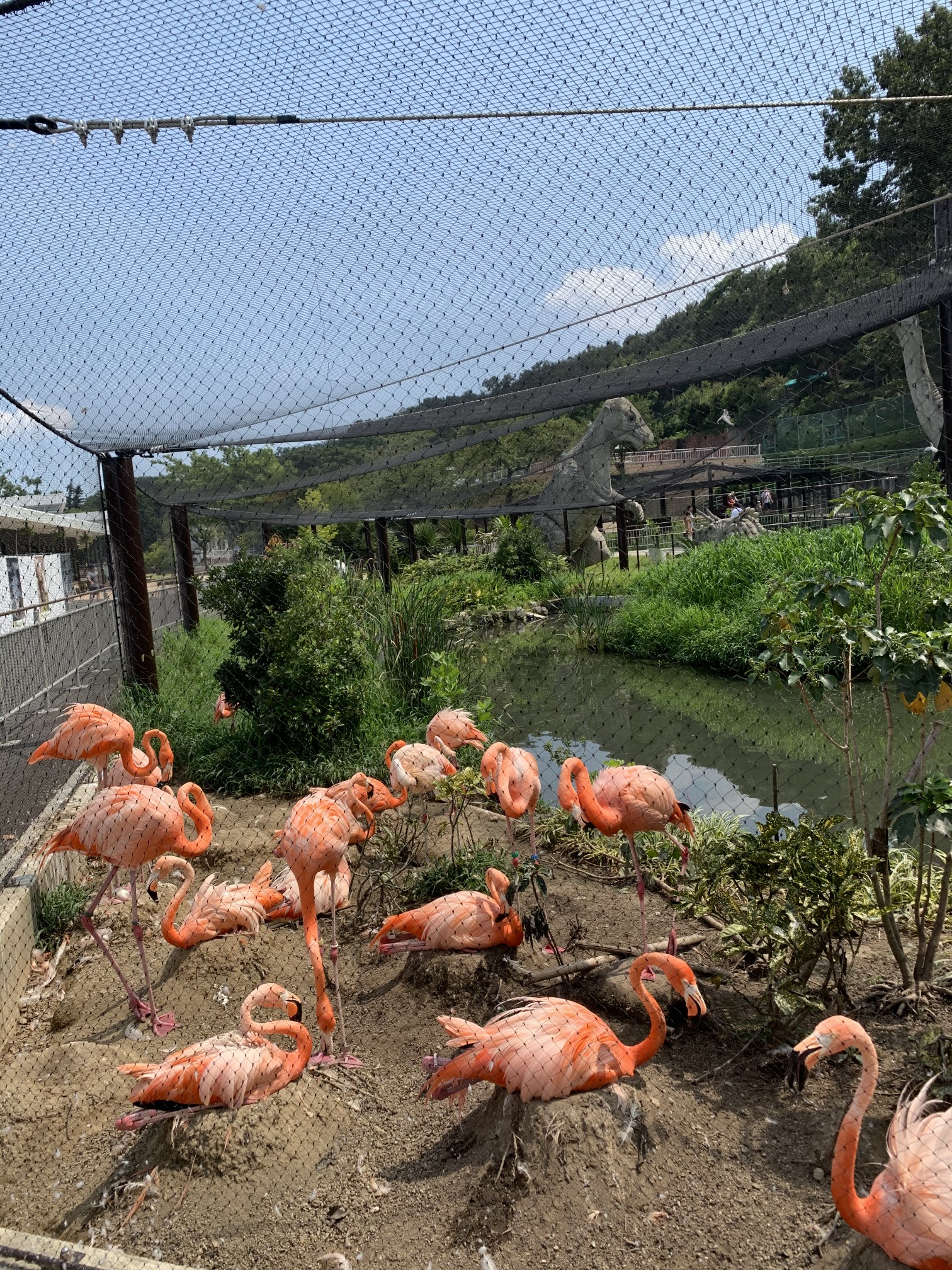 名古屋东山动植物园图片