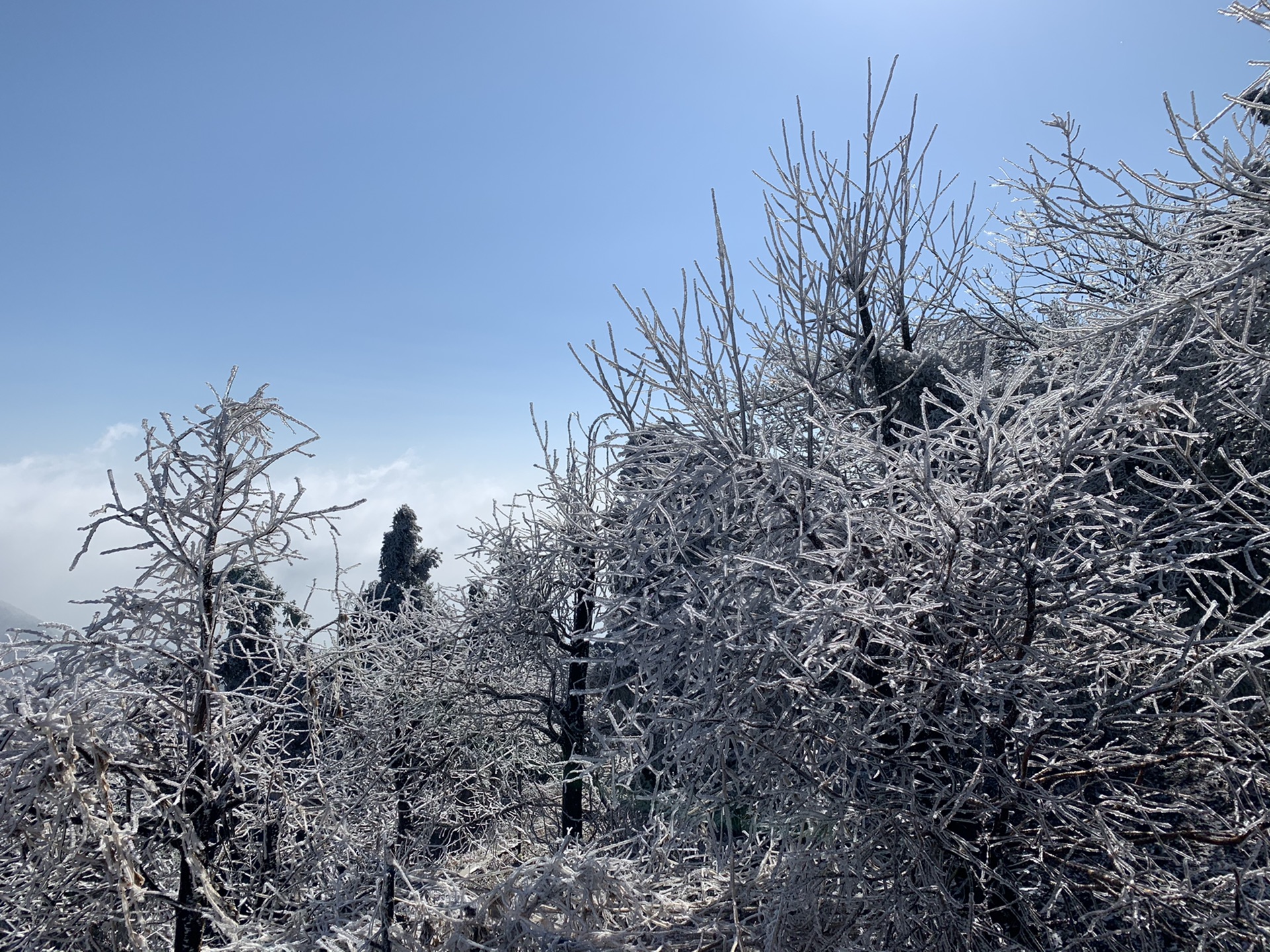 禮佛聖帝 | 邂逅南嶽衡山霧凇奇觀