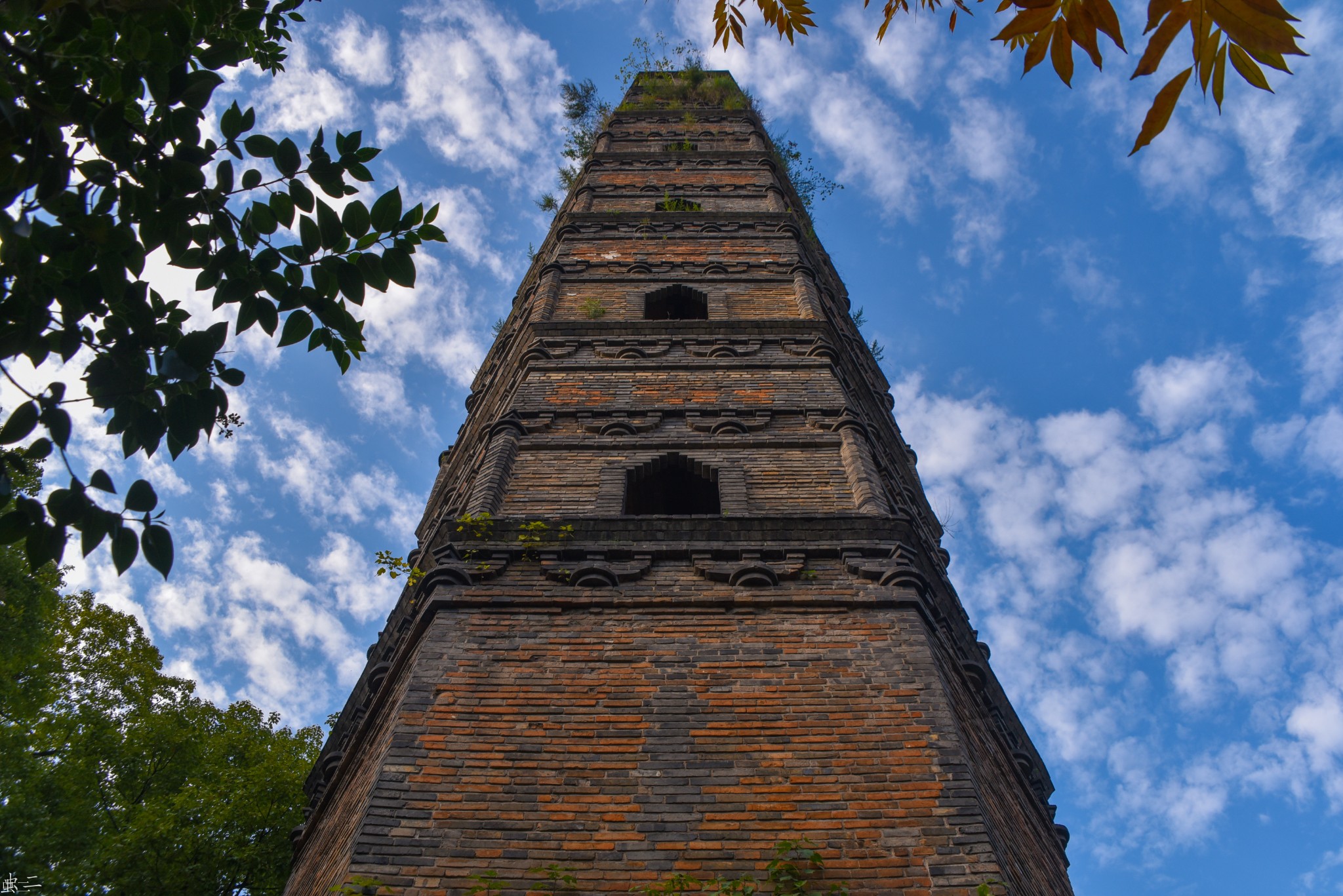 浦江龙德寺塔浦江塔山公园古塔巡礼系列之395