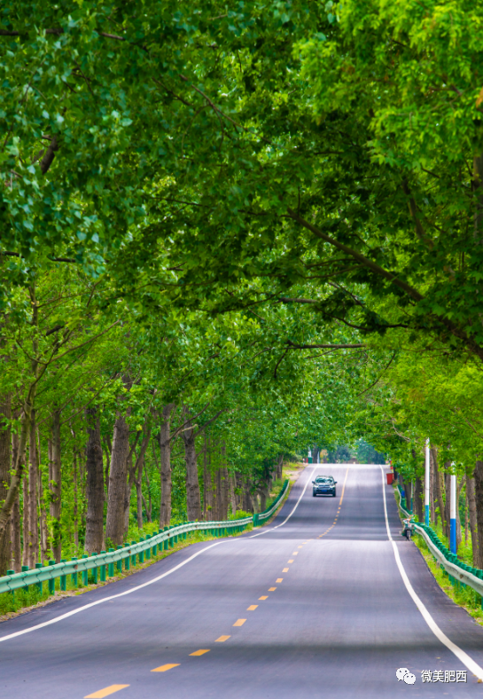 肥西最美打卡点评选乡镇园区巡礼之山南镇