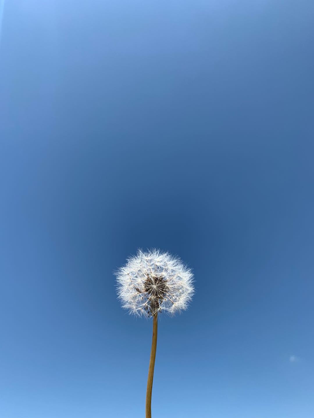 正文開始】【預告】繼續出發~人均費用/4500rmb人物/一個人出行天數/9