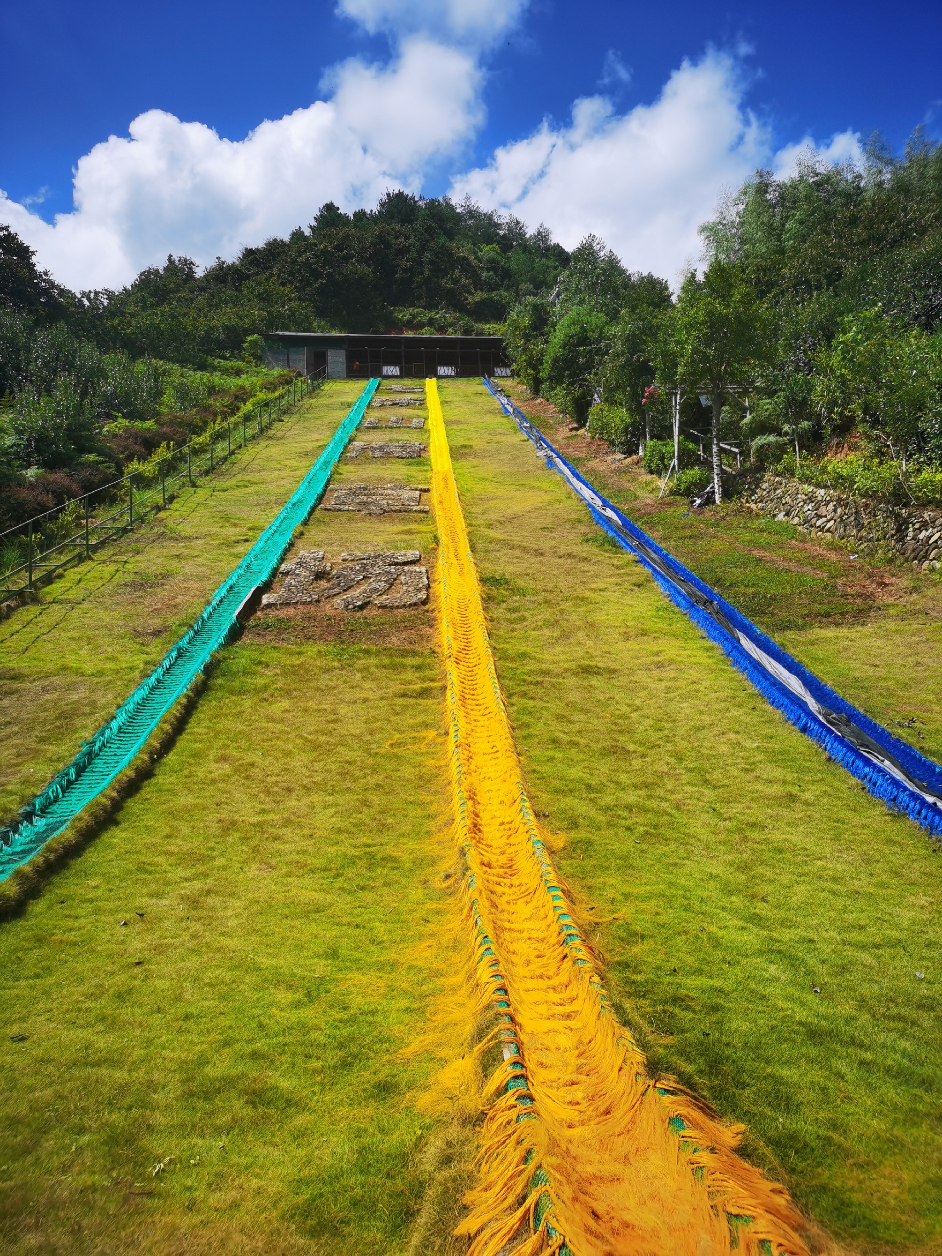 松阳七沐山滑草场图片