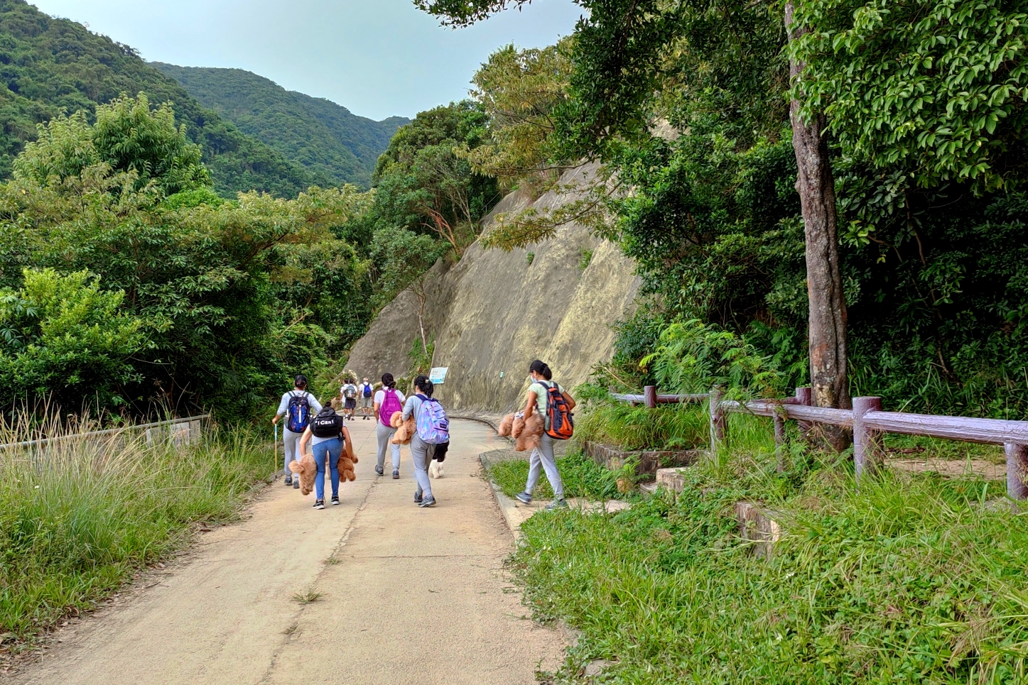 香港大潭水务文物径74雨中漫步