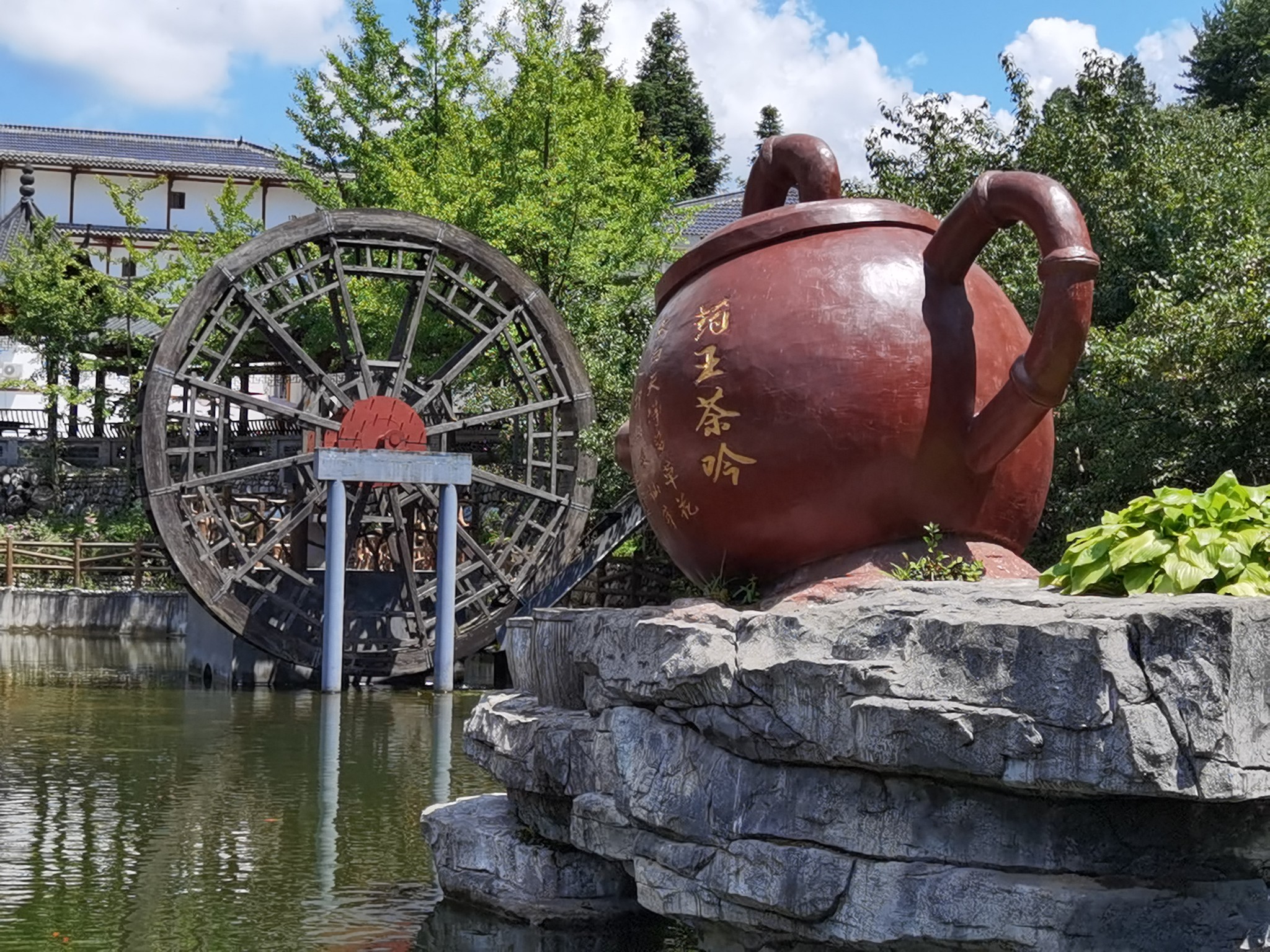 佛坪过夏(3)一一沙窝观花海