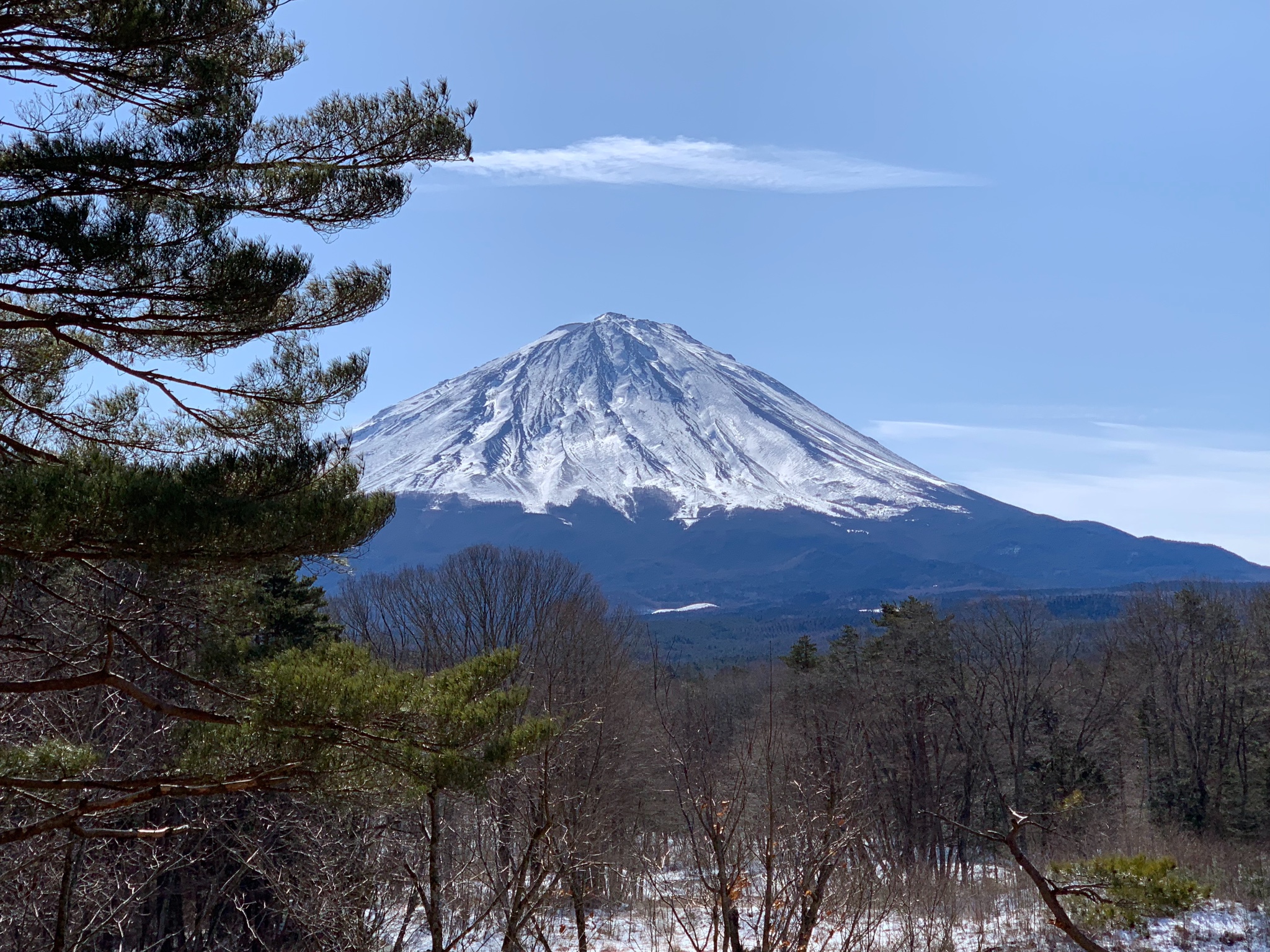 北海道自助遊攻略