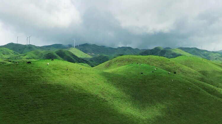 城步南山牧場---南方的呼倫貝爾大草原圖片87,城步旅遊景點,風景名勝