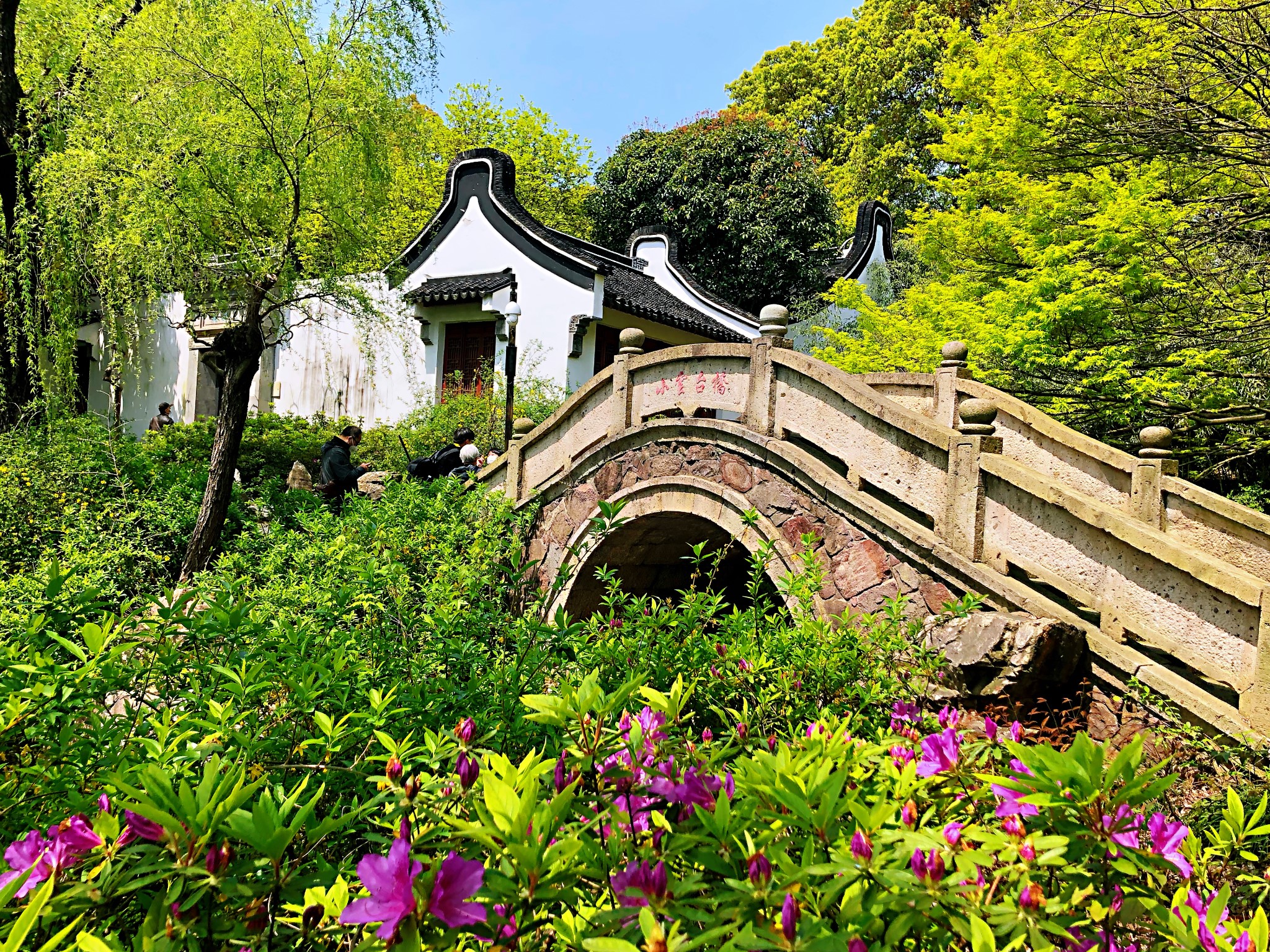 漫步上海 · 奉賢莊行,古華園,上海奉賢旅遊攻略 - 馬蜂窩