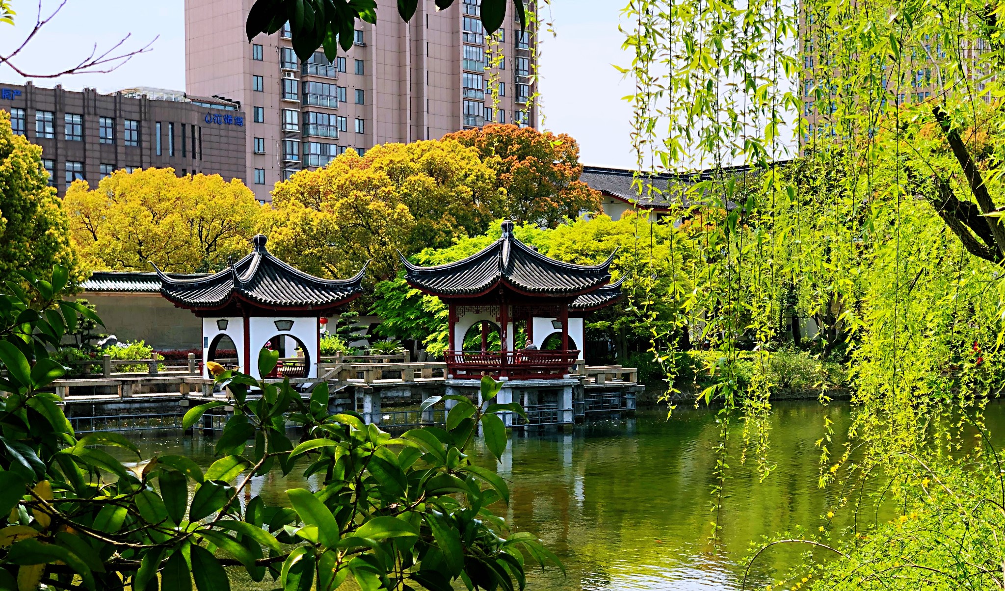 漫步上海 · 奉賢莊行,古華園,上海奉賢旅遊攻略 - 馬蜂窩