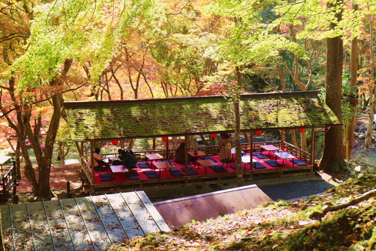 京都自助遊攻略