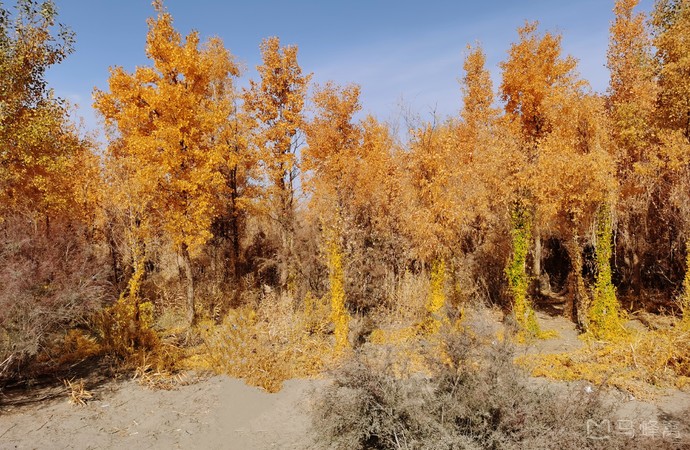 花土沟旅游图片,花土沟自助游图片,花土沟旅游景点照片 - 马蜂窝图库