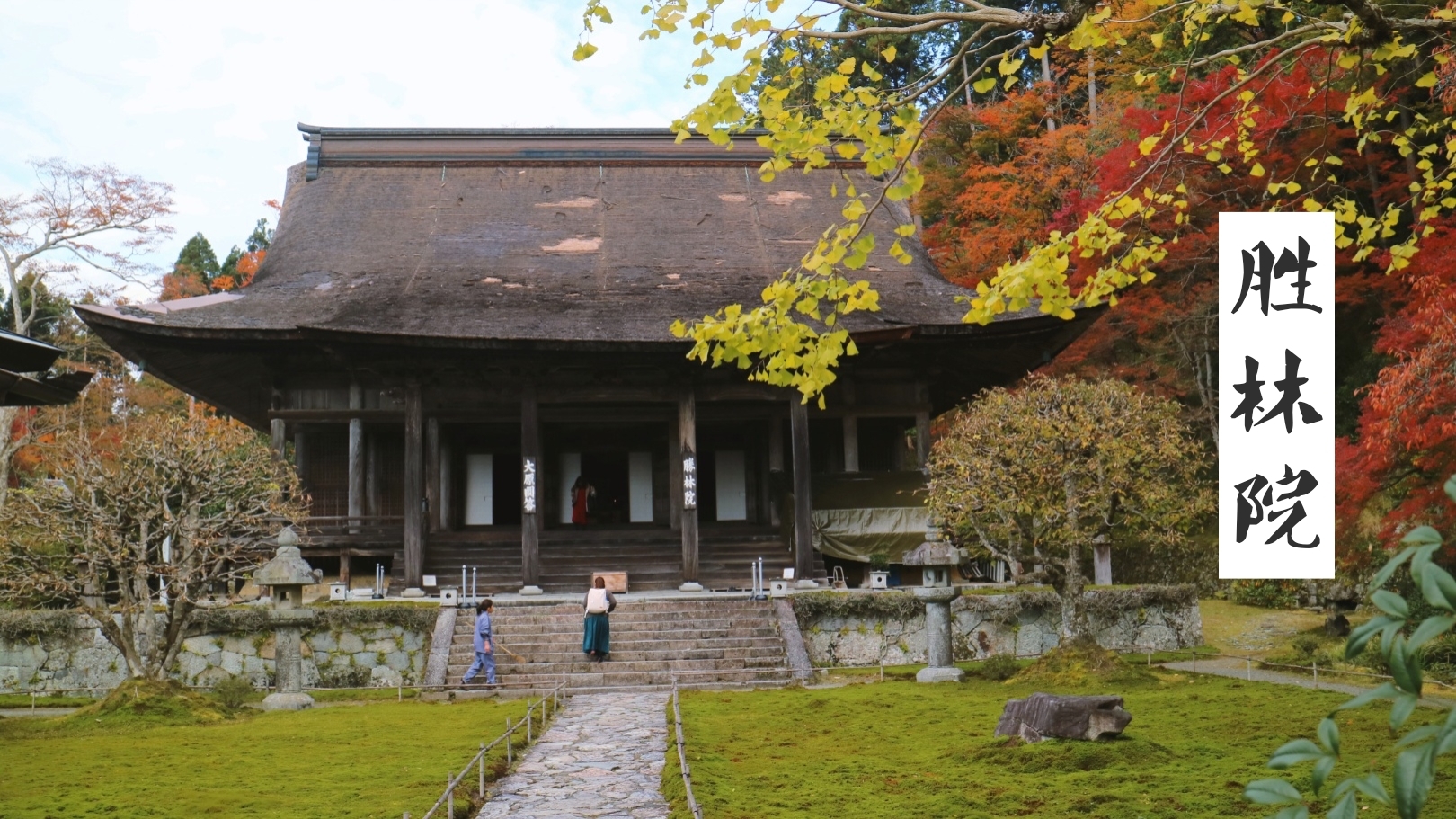 京都自助遊攻略