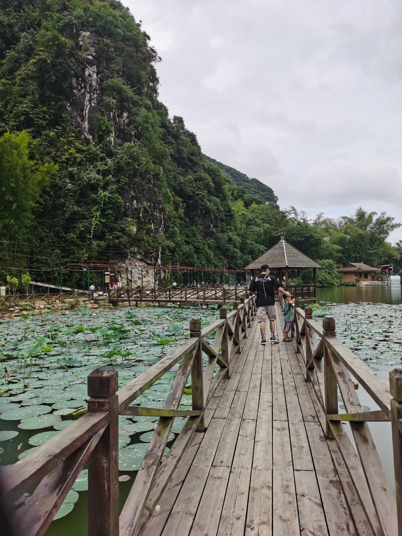 龙州樱花谷旅游风景区图片