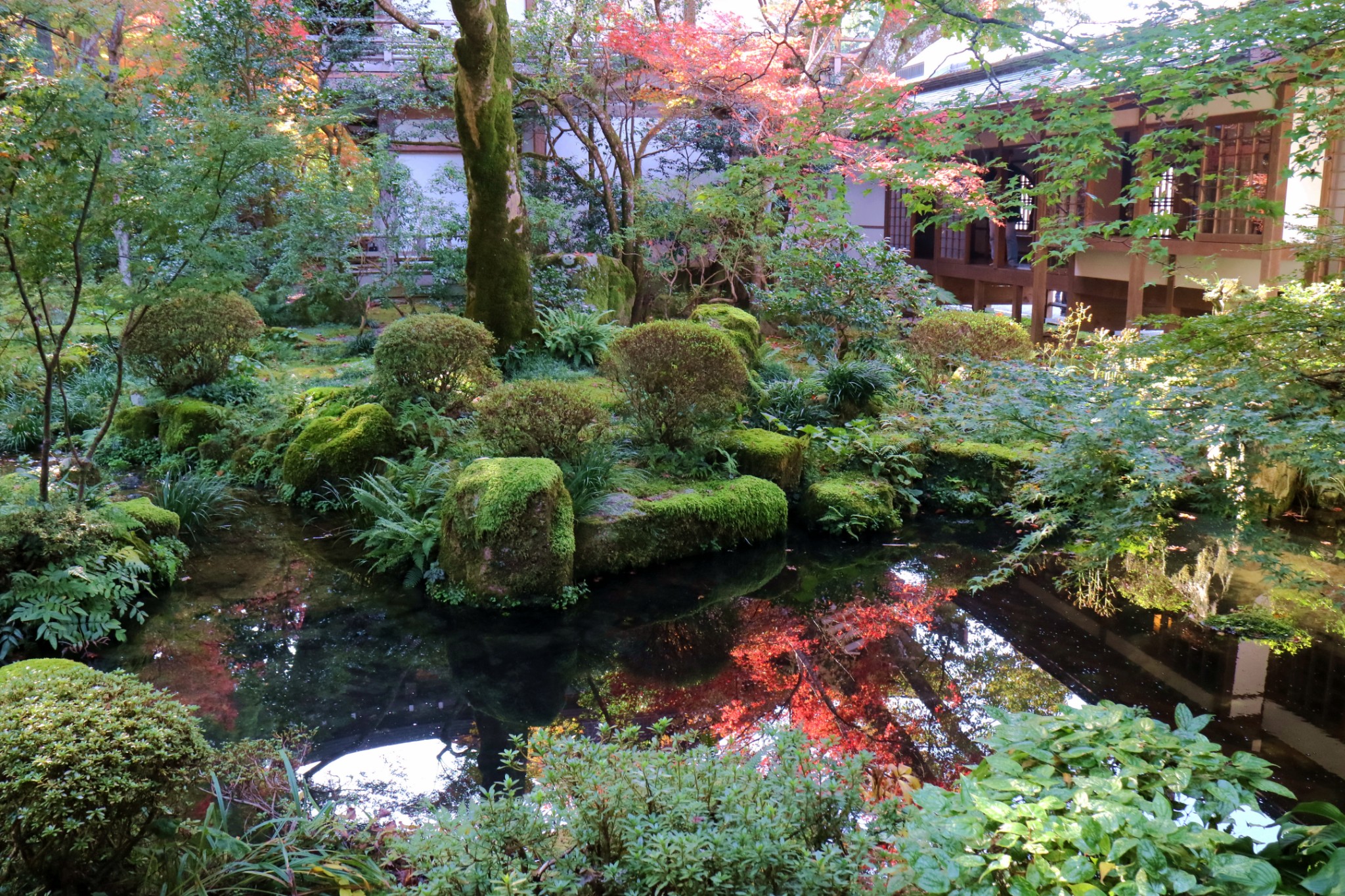 京都自助遊攻略