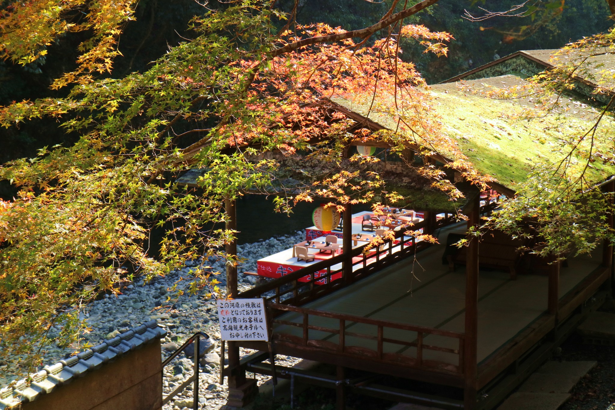 京都自助遊攻略