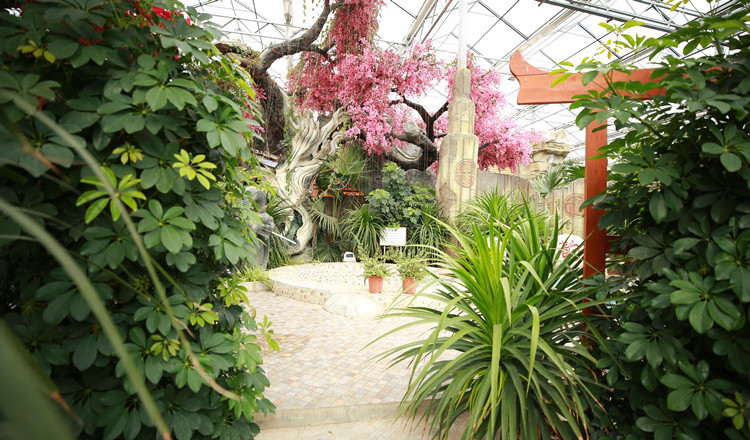 陕西咸阳华韵温泉一日电子门票