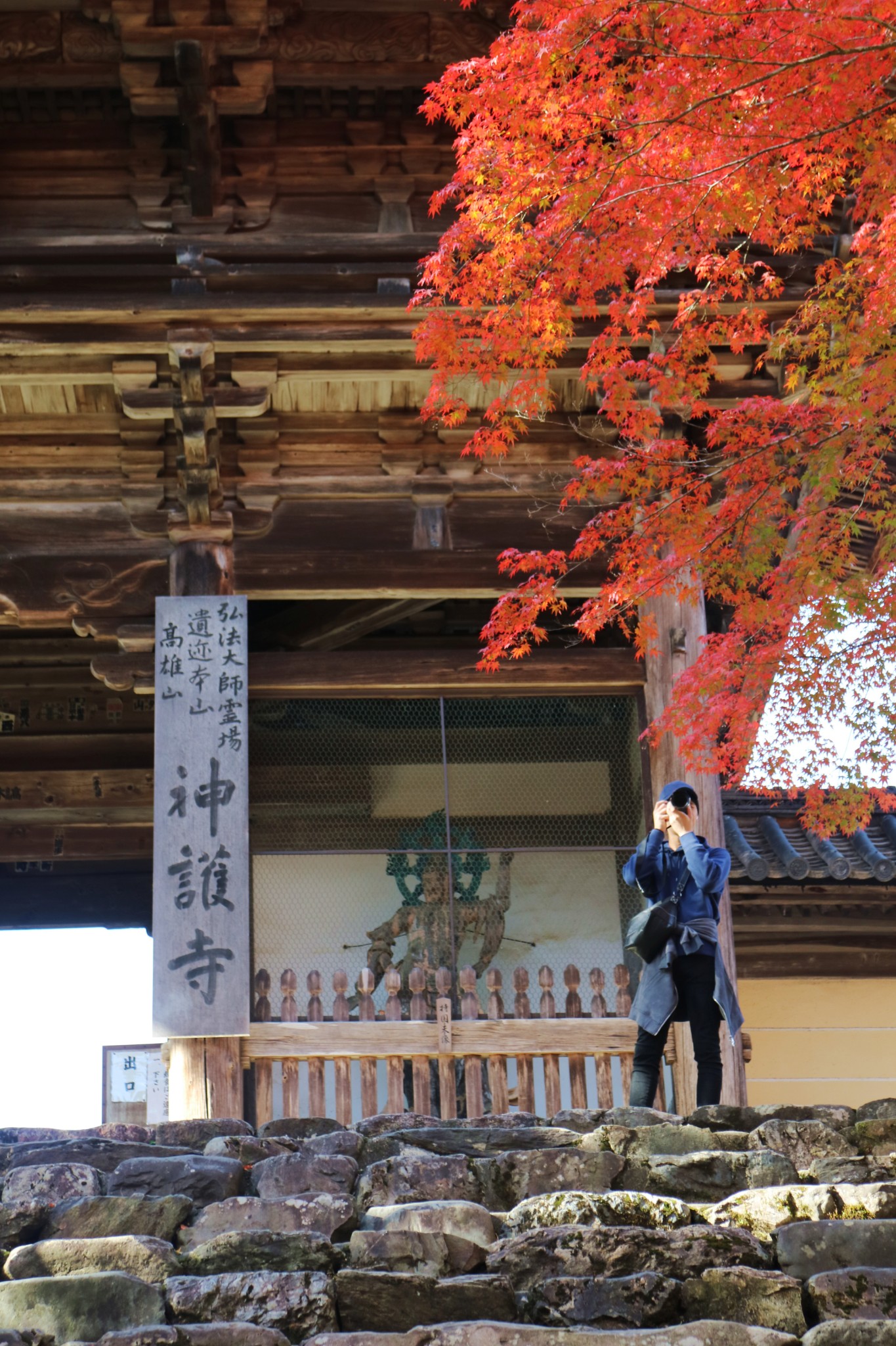 京都自助遊攻略