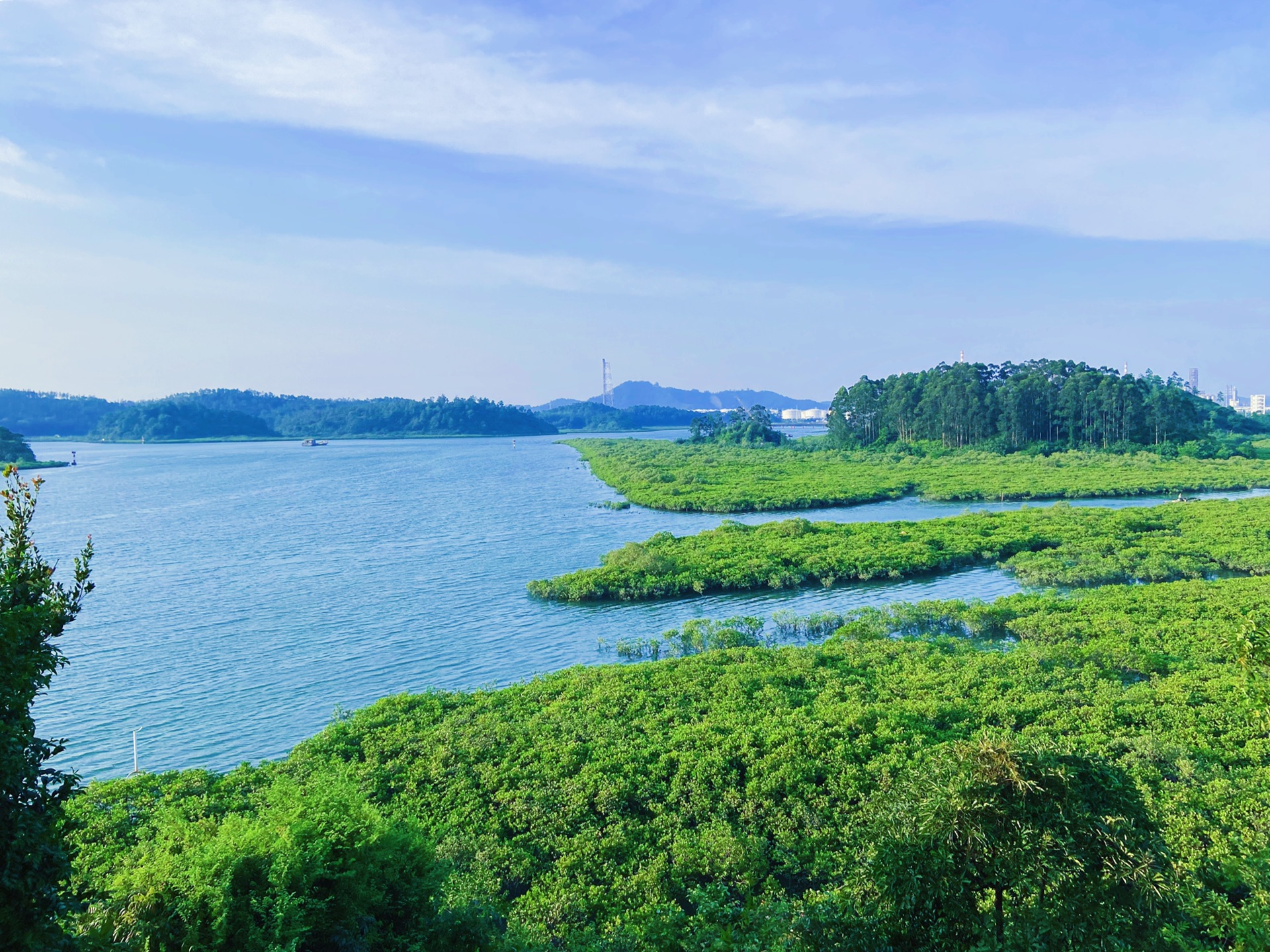 打卡钦州港仙岛公园,红树林夕阳海景