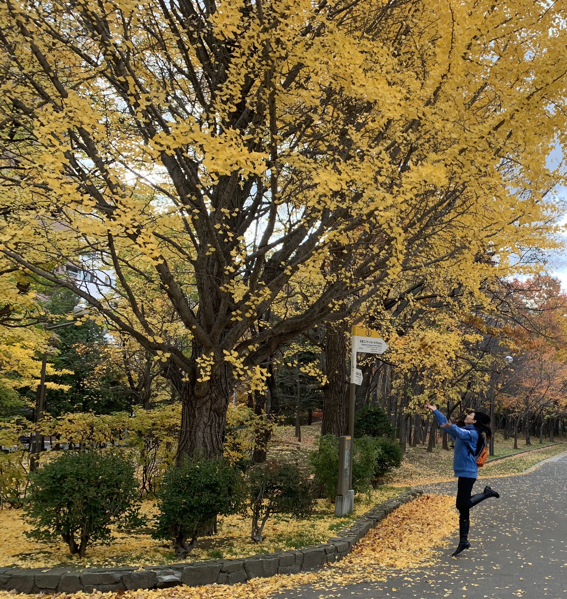 北海道自助遊攻略