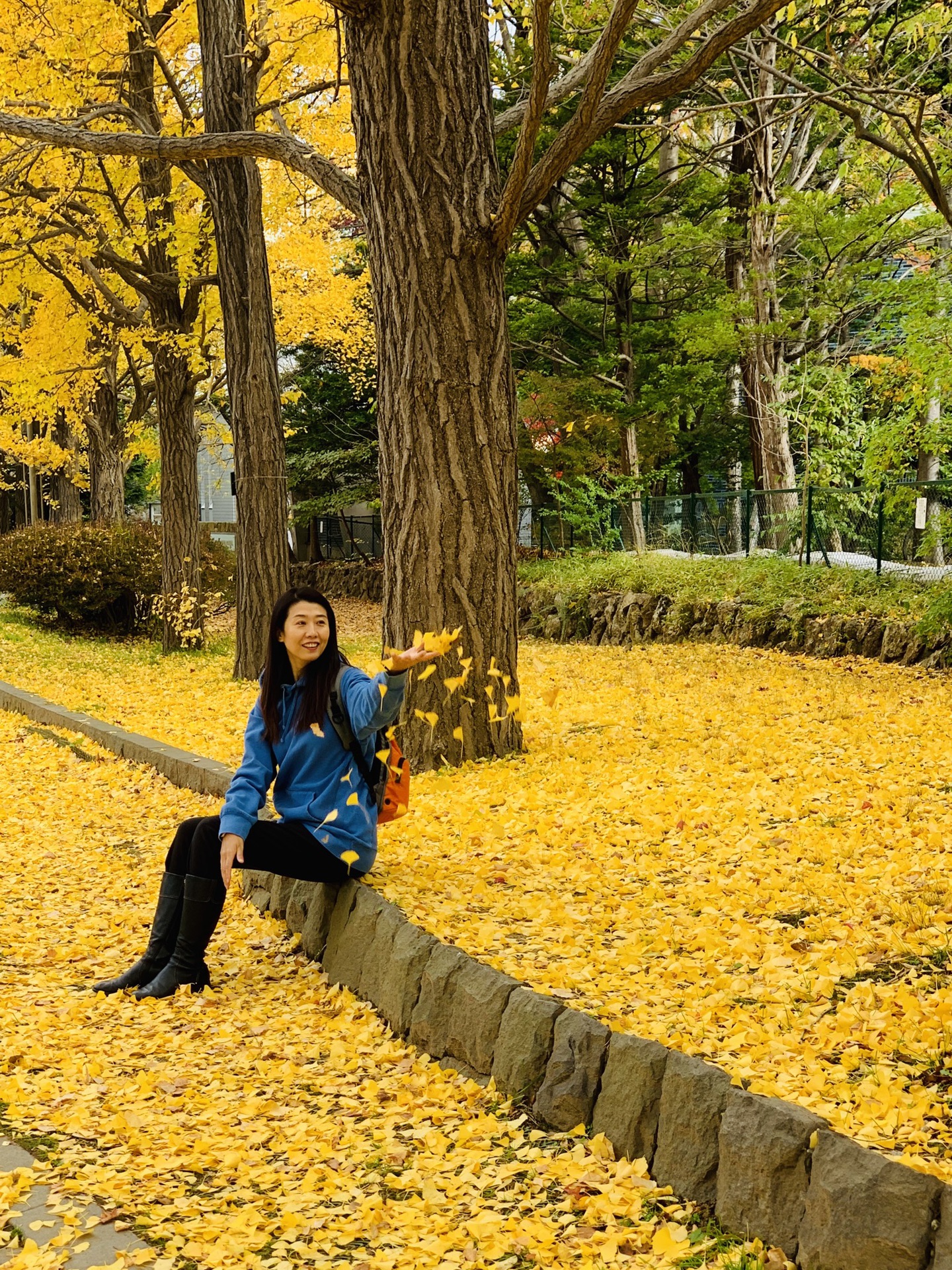 北海道自助遊攻略