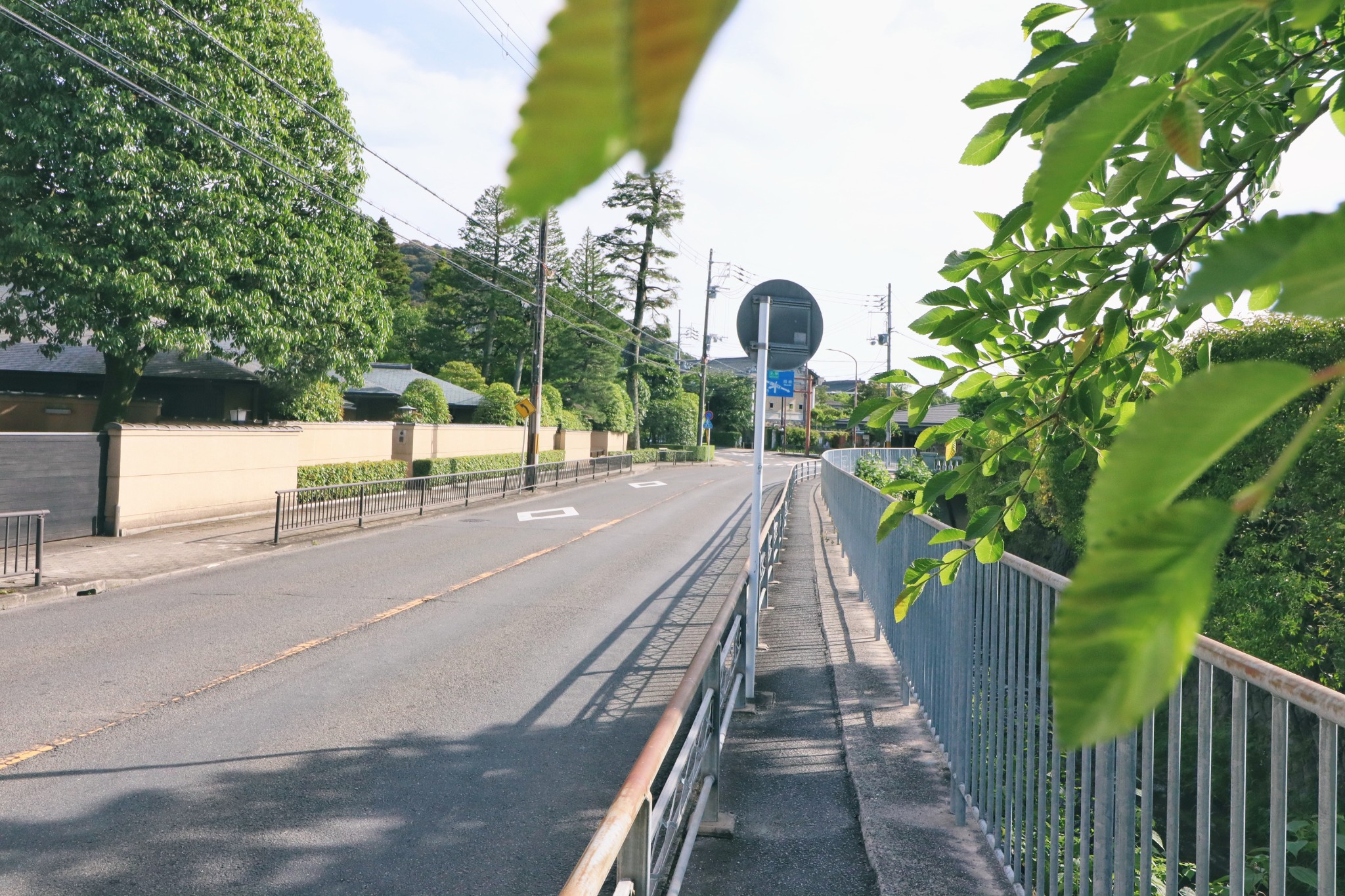 京都自助遊攻略