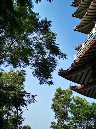 碧湖森林公园-凤岗人民公园旅游图片,碧湖森林公园-凤岗人民公园自助