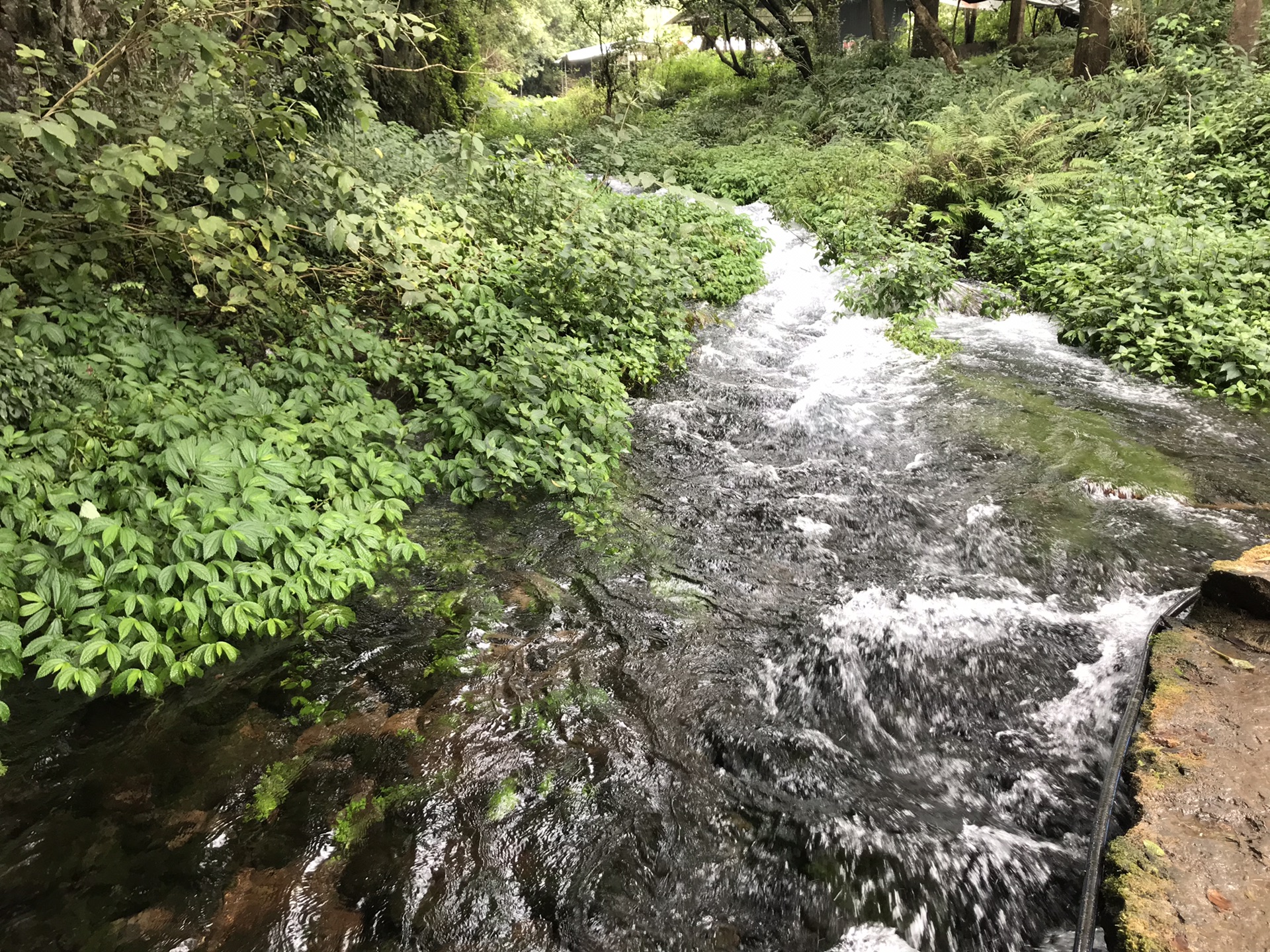 騰衝自助遊攻略