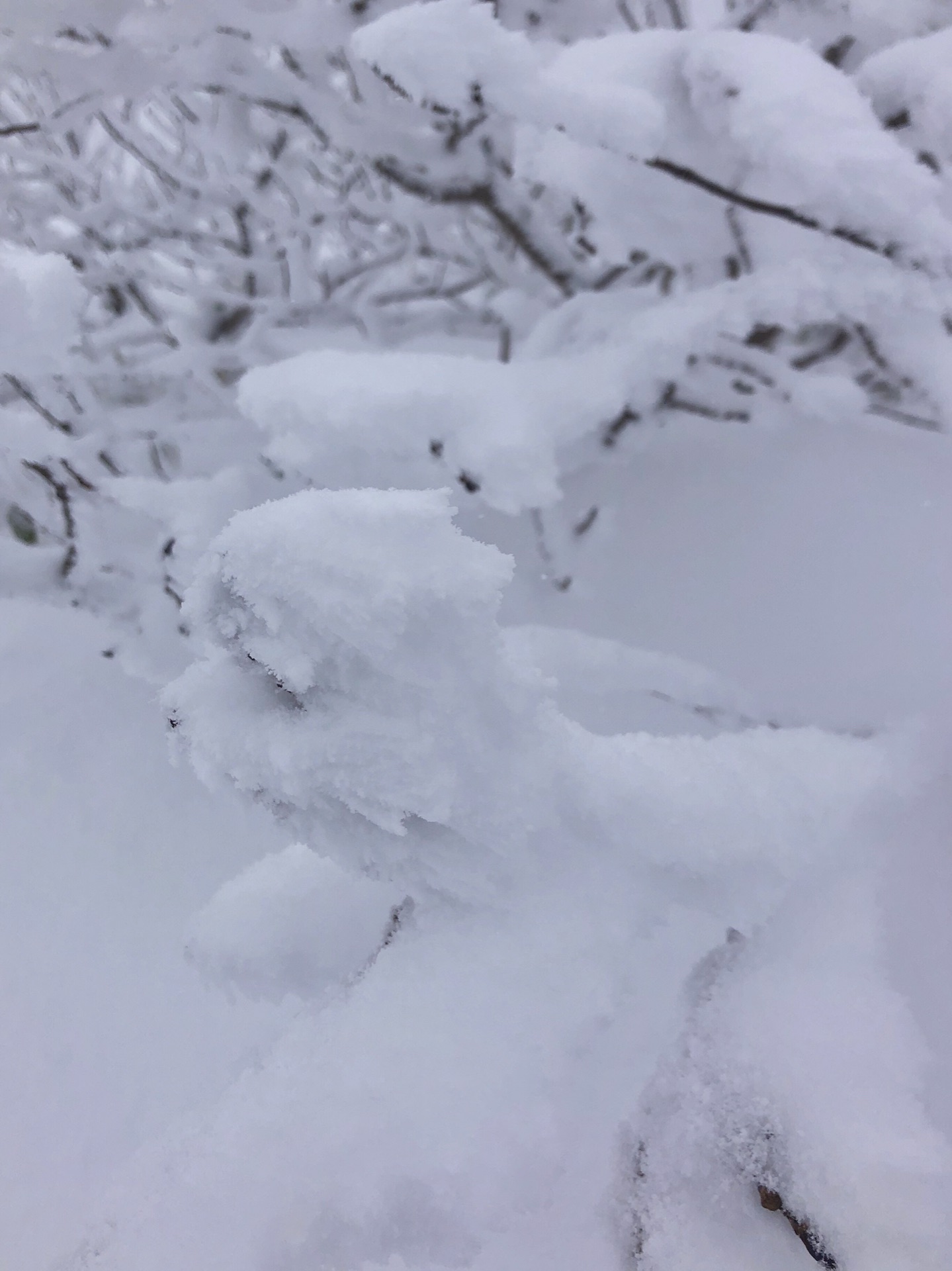 北海道自助遊攻略