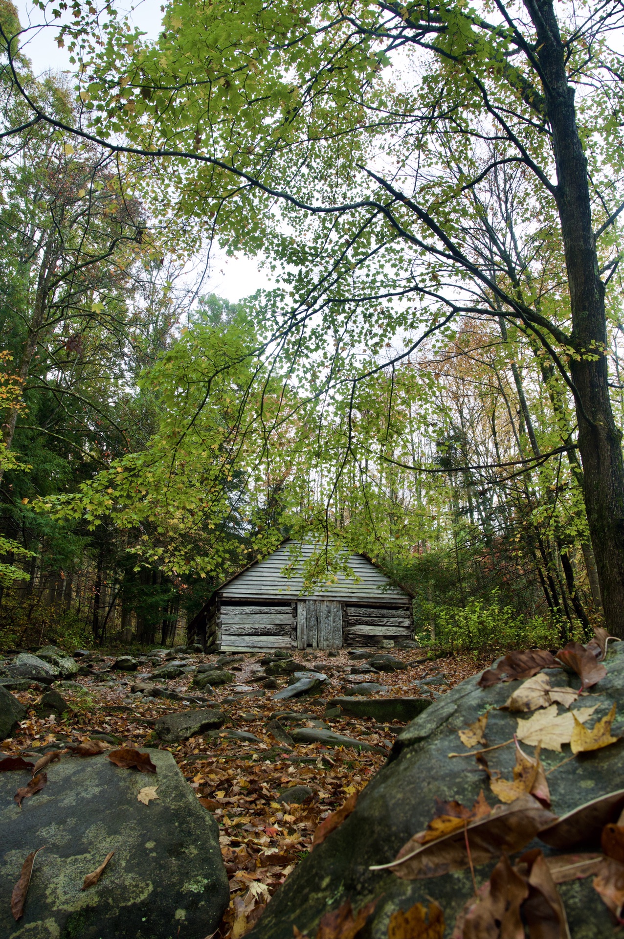 smoky mountains national park追寻秋天的色彩,大雾山国家公园旅游