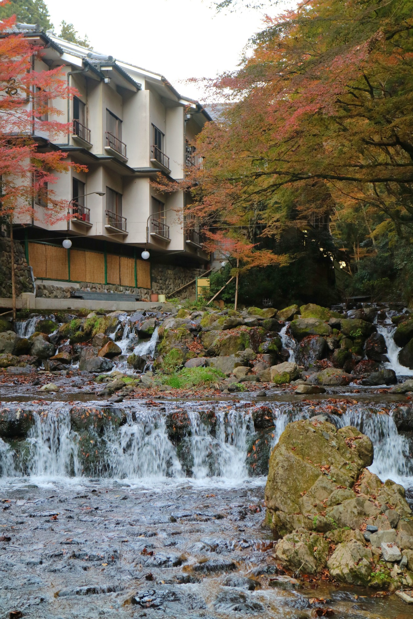 京都自助遊攻略