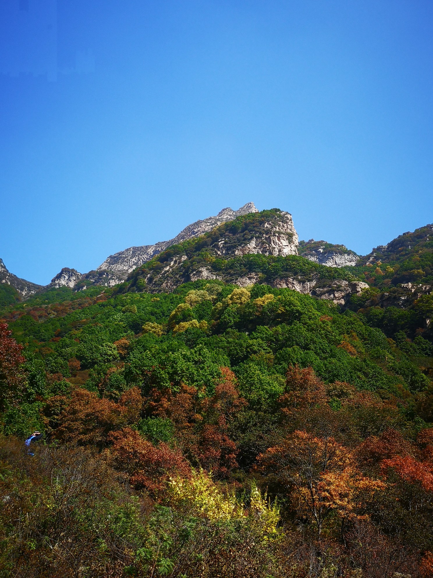 户外阜平歪头山