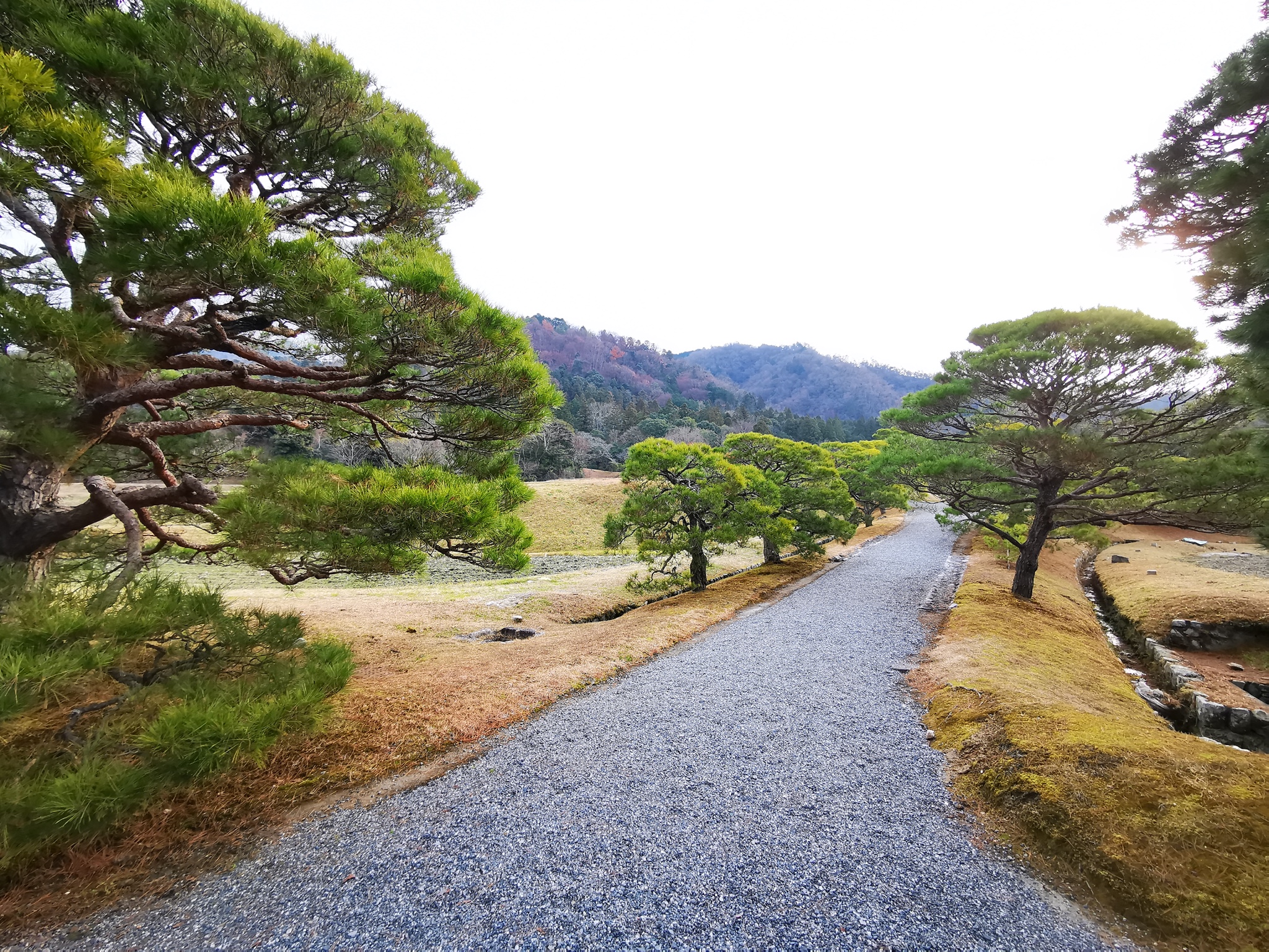 京都自助遊攻略