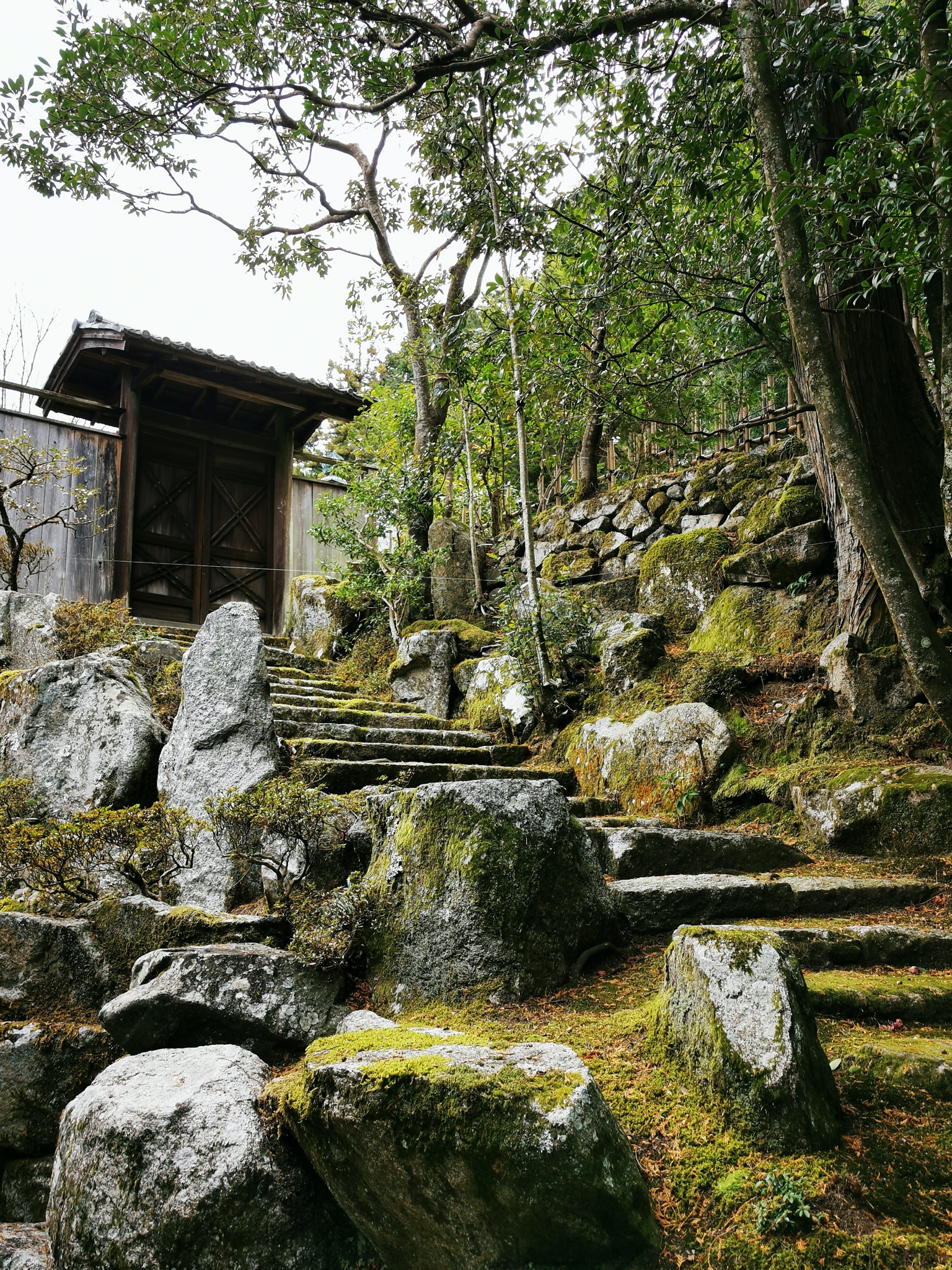 京都自助遊攻略